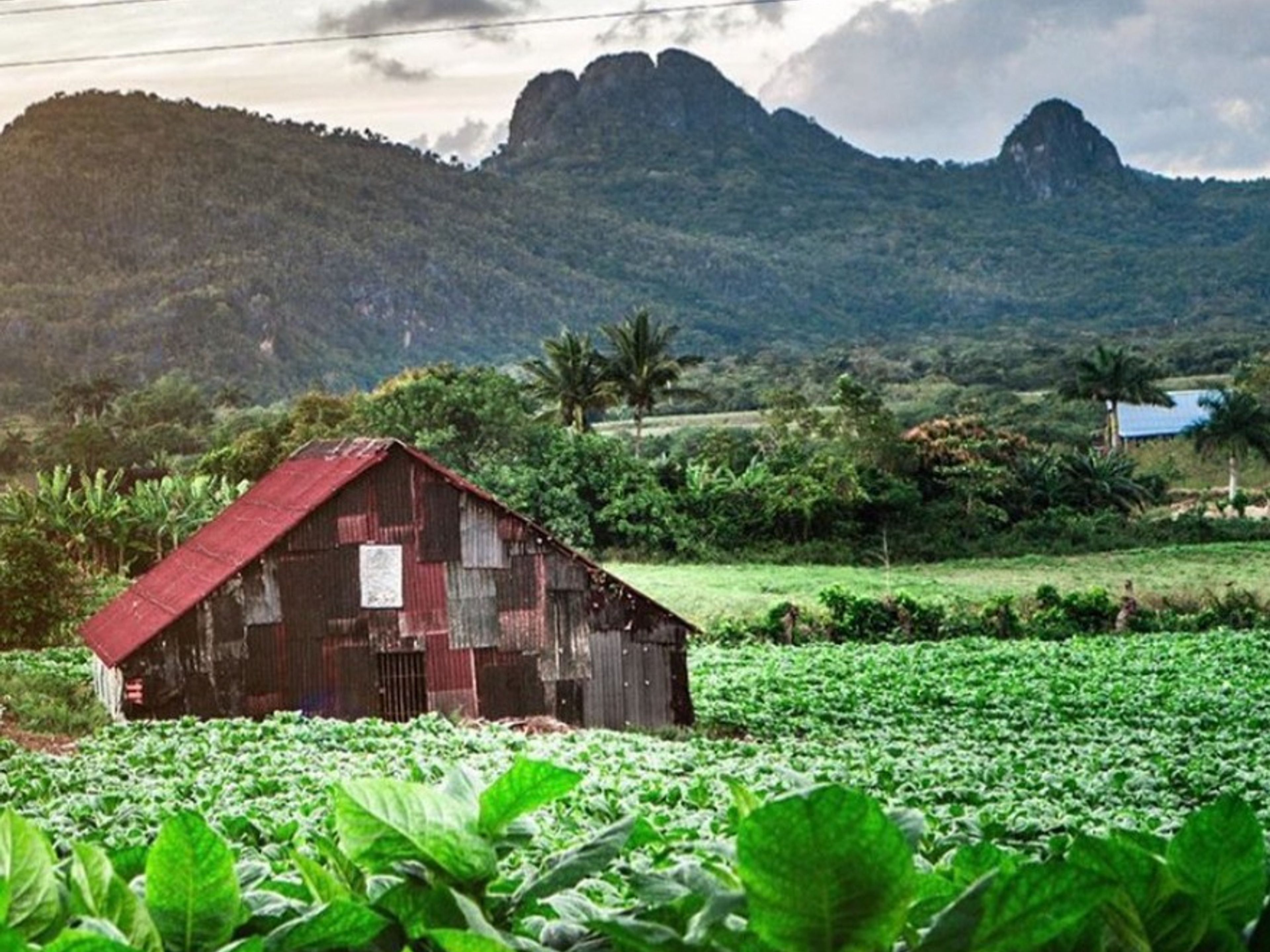 "Fahrrad + Seilbahn im Viñales-Tal" Tour. The Viñales Valley (Valle de Viñales) panoramic view, UNESCO World Heritage Site, Viñales, Pinar del Río, Cuba.