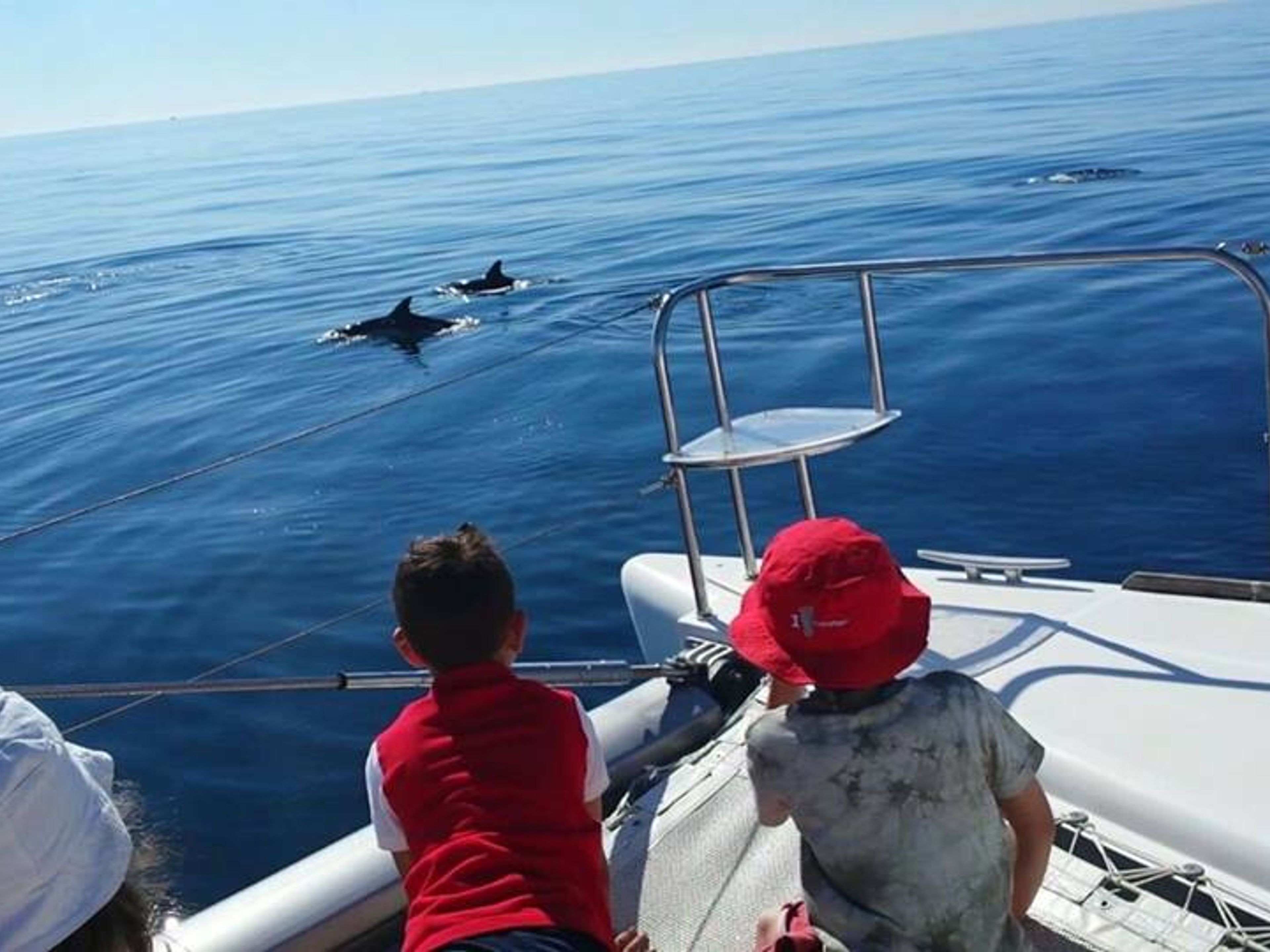 Excursão "NADAR COM GOLFINHOS EM CAYO BLANCO, VARADERO". "SWIMMING WITH DOLPHINS IN CAYO BLANCO, VARADERO" Tour, Varadero, Matanzas, Cuba.