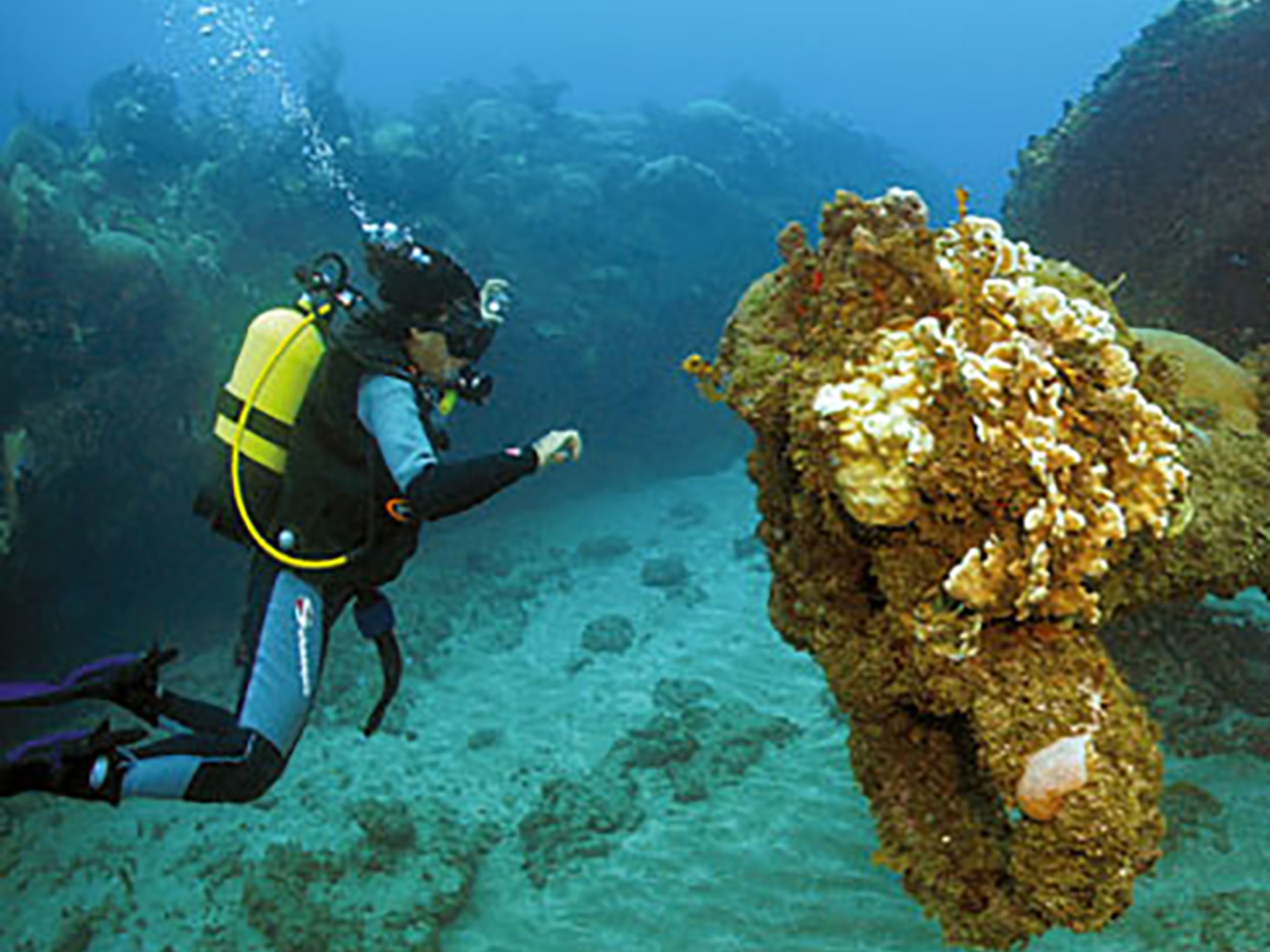 Scuba Diving in Wrecks of the Hispanic - Cuban and North American War of 1898. "VIZCAYA BATTLESHIP CRUISE".. Scuba Diving in Wrecks of the Hispanic - Cuban and North American War of 1898. "VIZCAYA BATTLESHIP CRUISE".