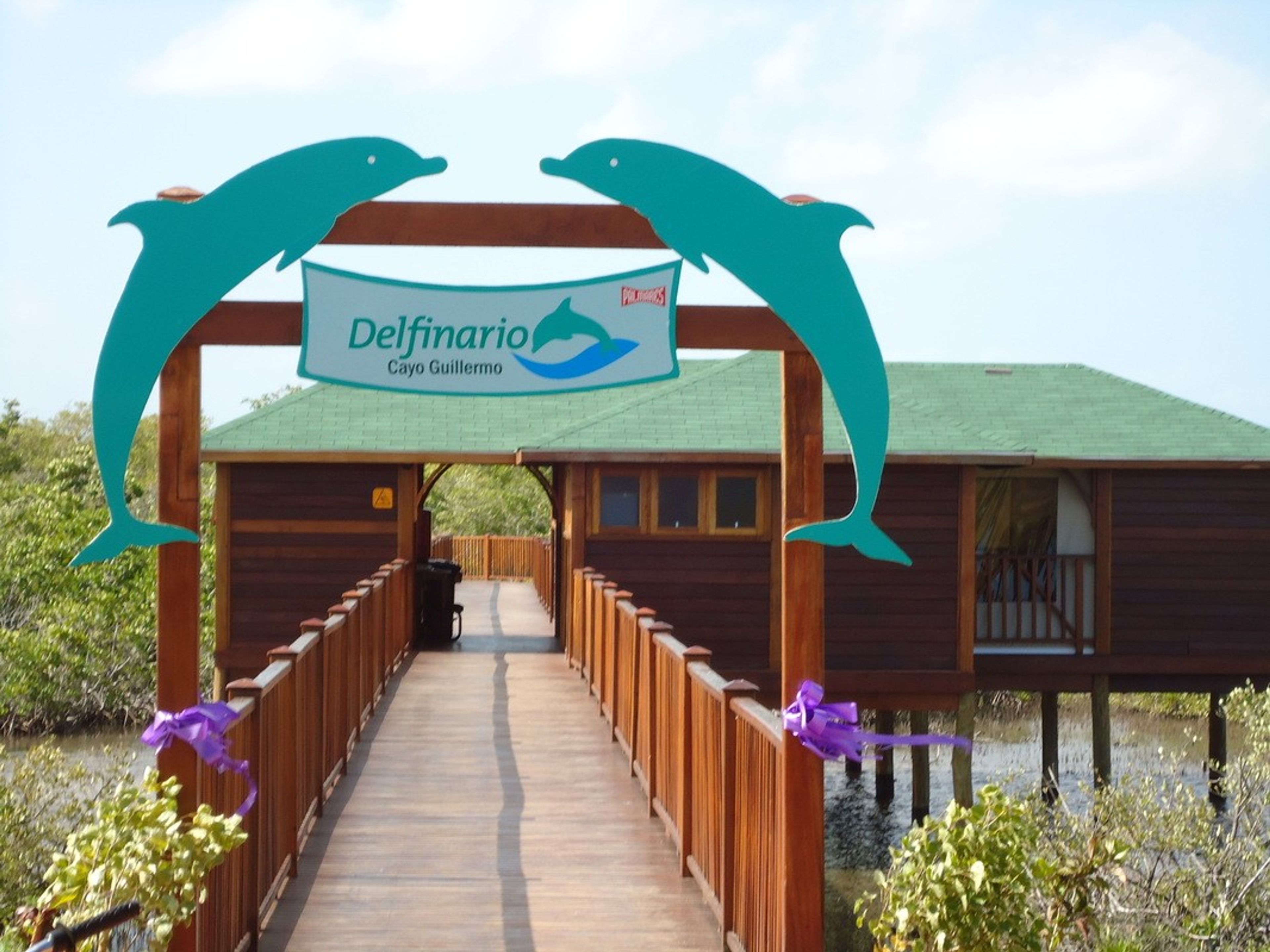 Excursão "Desfrute de um mergulho matinal com golfinhos em Cayo Coco". Cayo Guillermo dolphinarium panoramic view