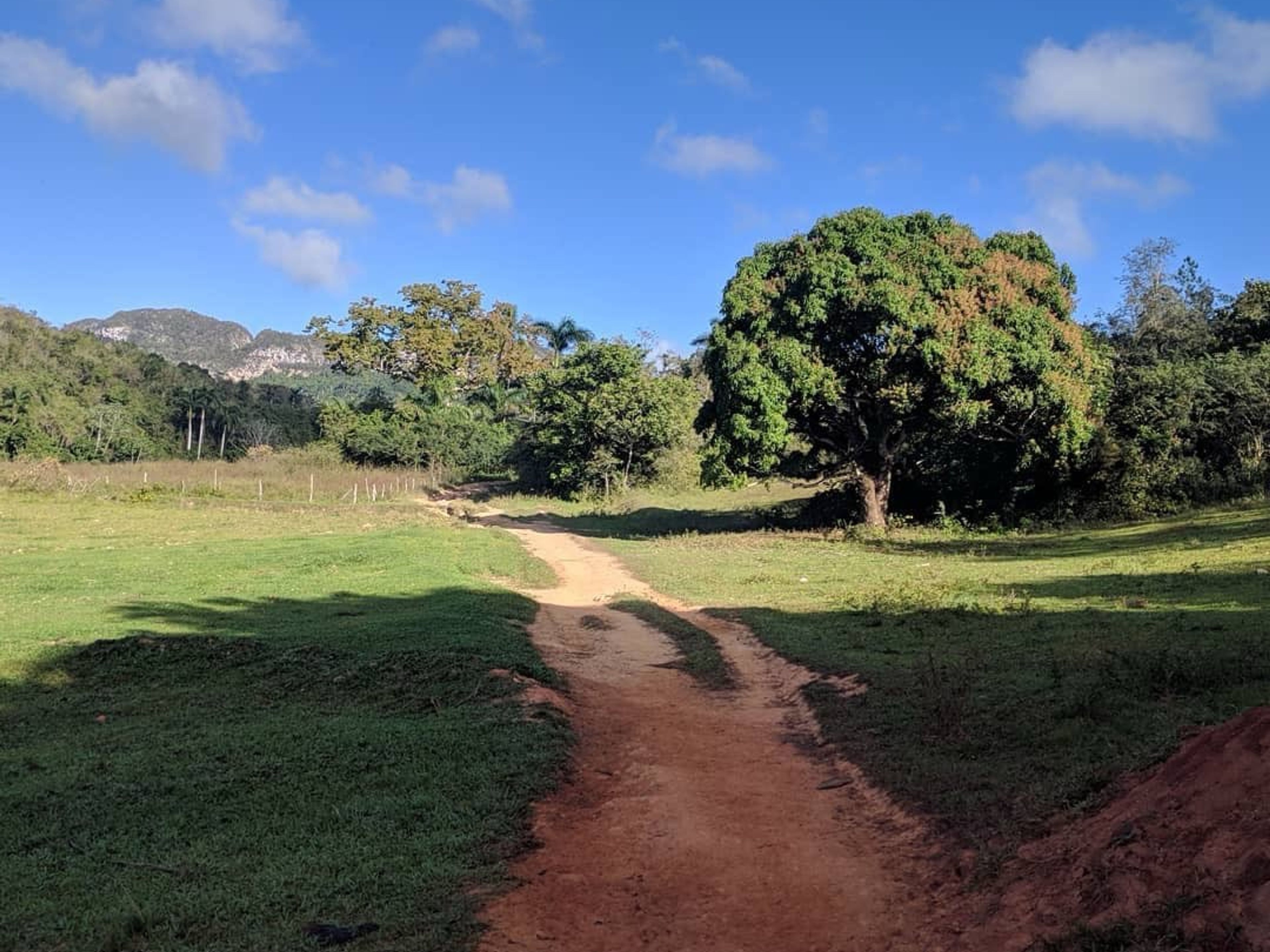 "TREKKING DURCH DAS VIÑALES-TAL: ENTDECKEN SIE DIE ATEMBERAUBENDEN LANDSCHAFTEN" Tour. “TREKKING THROUGH THE VIÑALES VALLEY, Pinar del Río, Cuba.