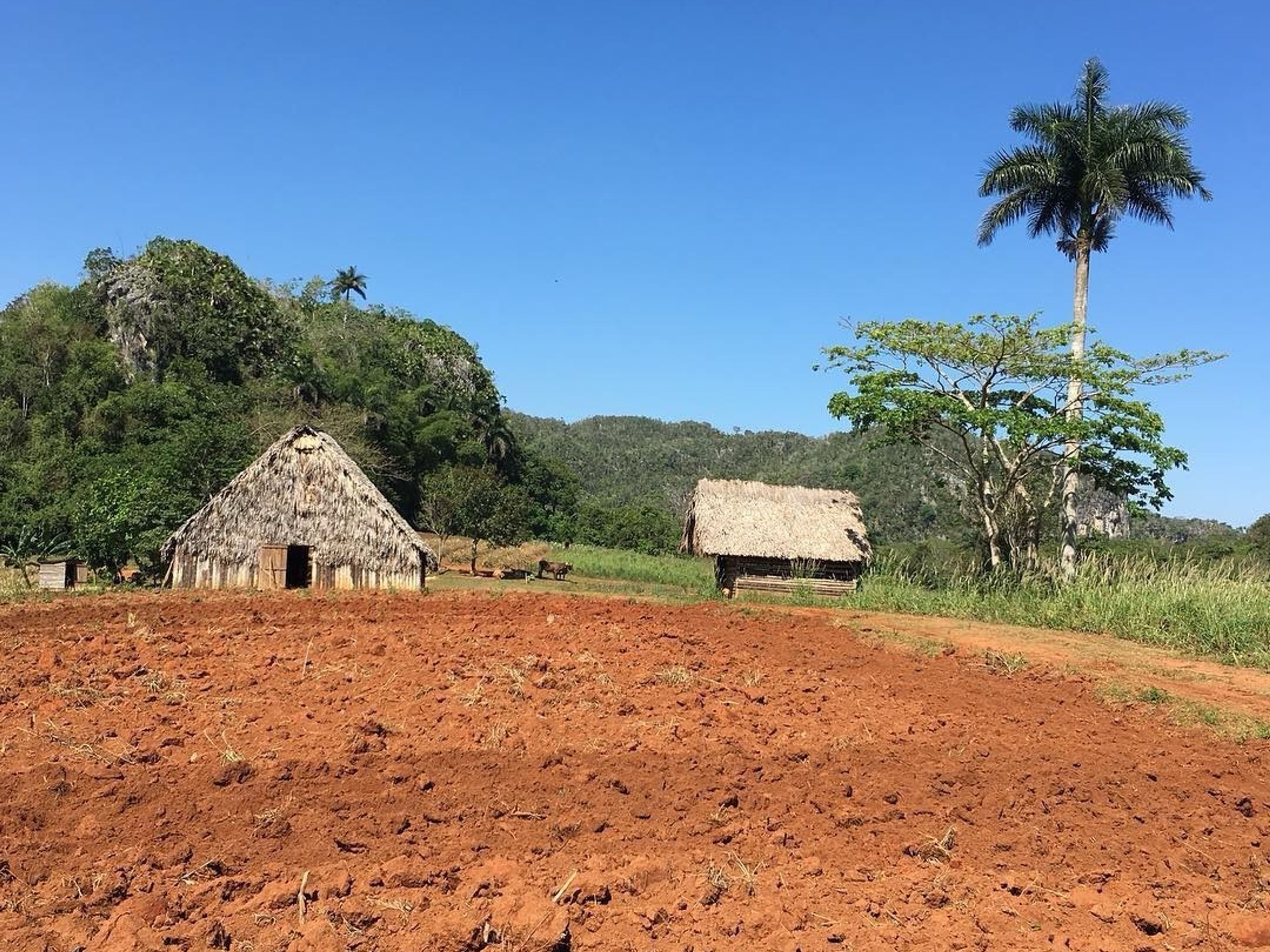 "TREKKING DURCH DAS VIÑALES-TAL: ENTDECKEN SIE DIE ATEMBERAUBENDEN LANDSCHAFTEN" Tour. “TREKKING THROUGH THE VIÑALES VALLEY, Pinar del Río, Cuba.