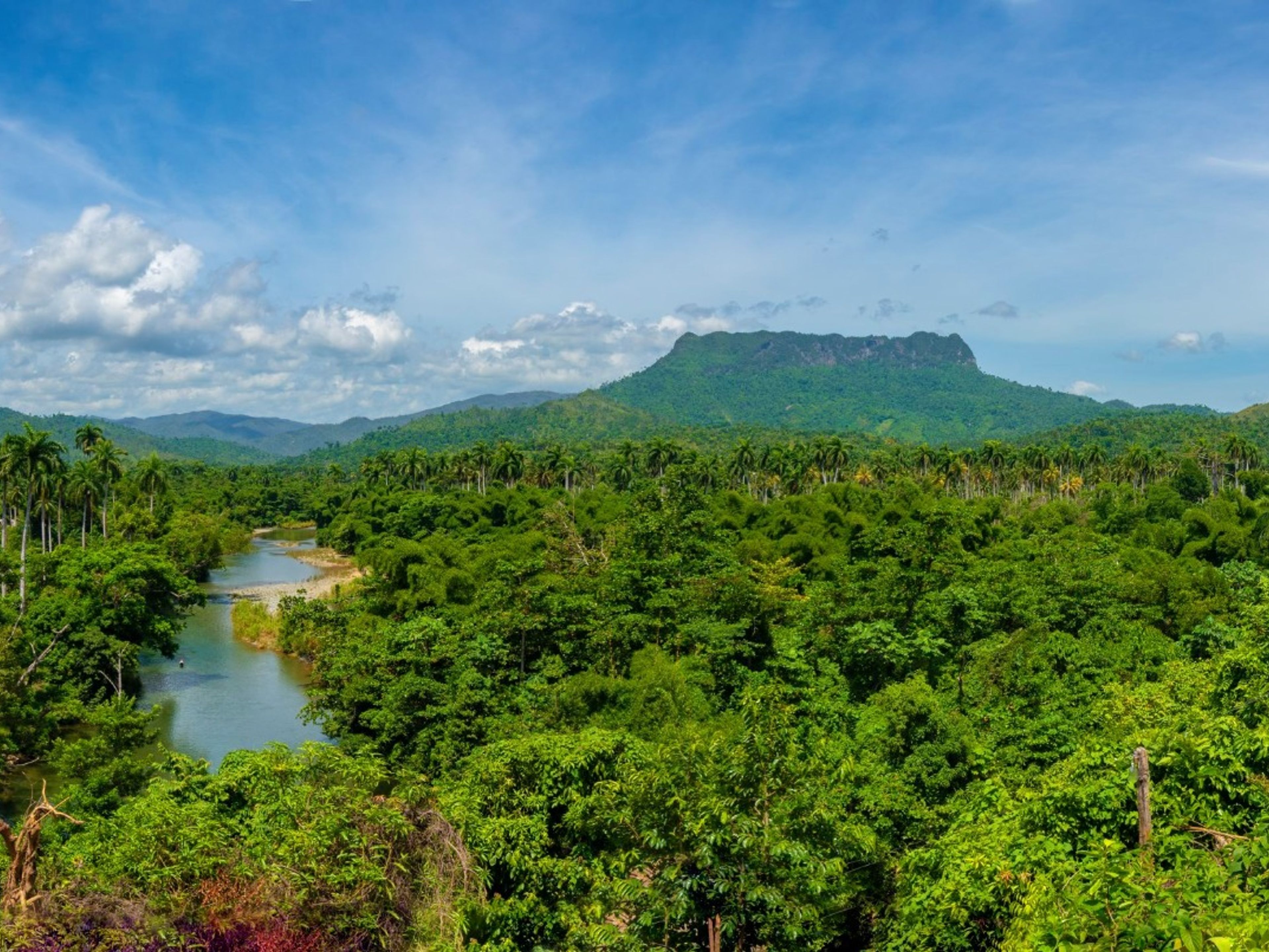 Тур "ФЕРМА ДУАБА - РЕКА ТОА". El Yunque panoramic view, Baracoa, Guantánamo, Cuba.