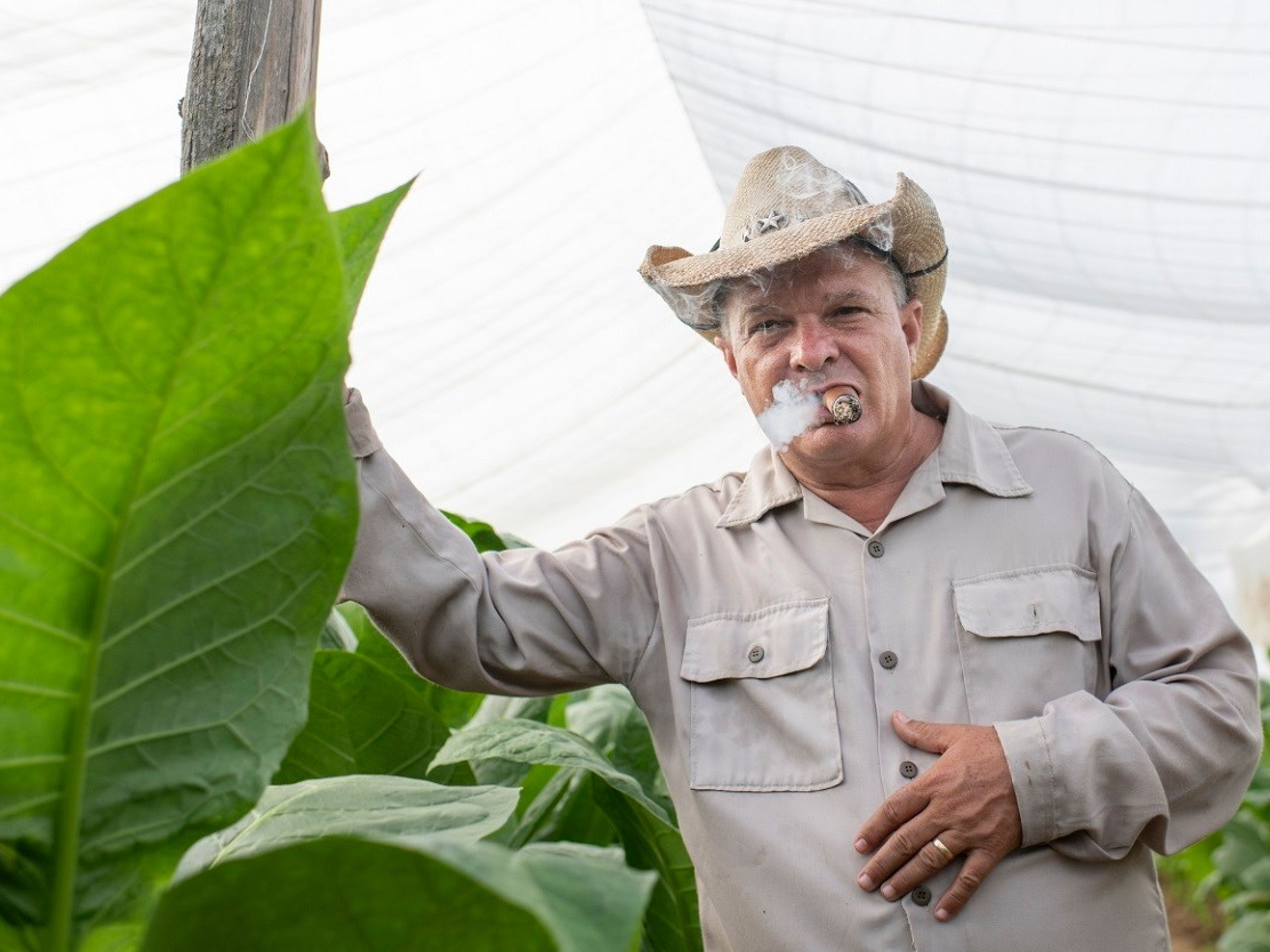 “THE WORLD OF TOBACCO” Tour. Finca Quemado del Rubi, owned by Hector Luis and considered one of the top three tobacco farms in Cuba. Mr. Luis’ outstanding production won him the prestigious Hombre Habano award.