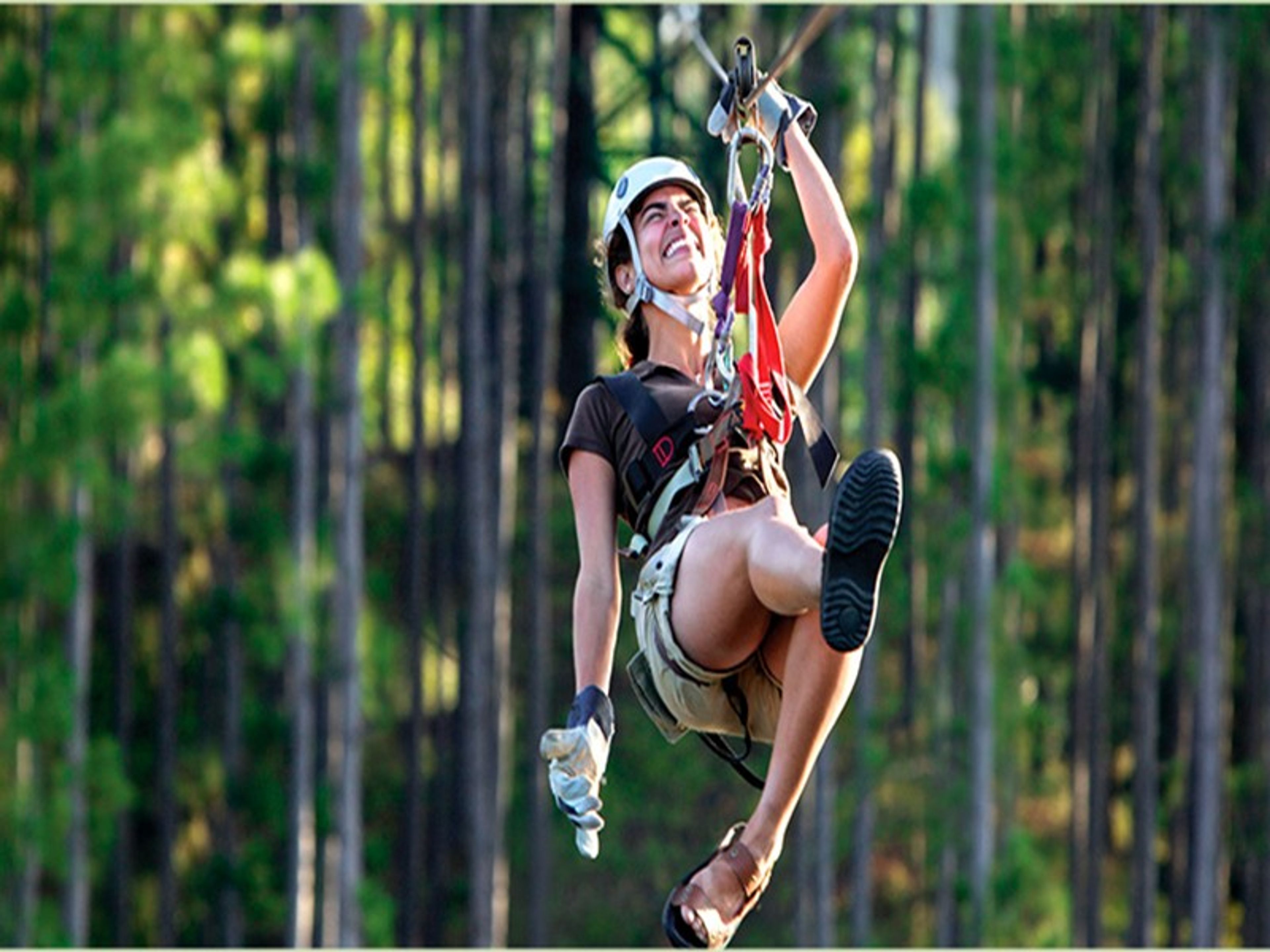 Тур "ДЕНЬ В ЛАС ТЕРРАСАС". Canopy tour at Las Terrazas Community