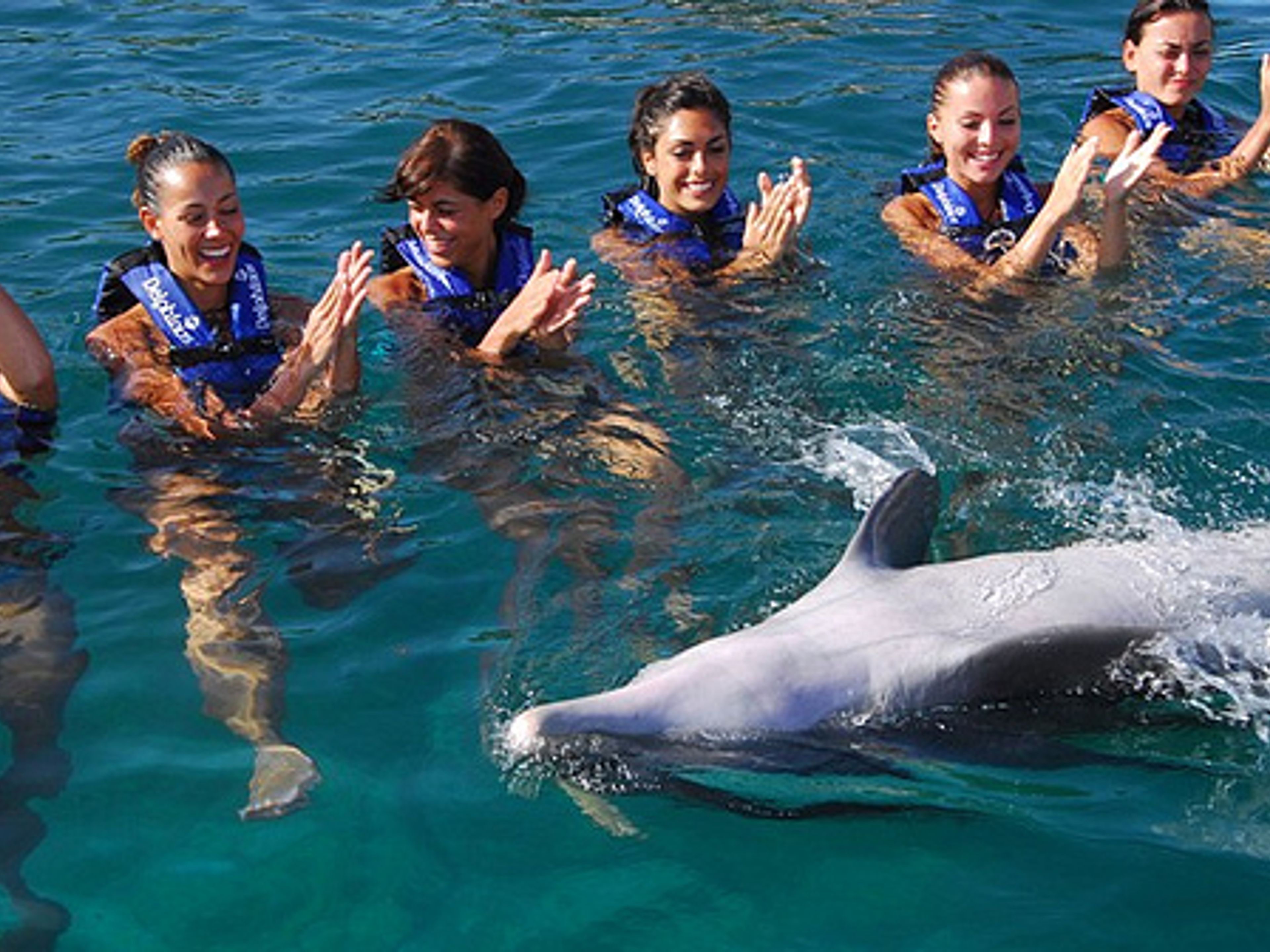 Tour "Sea Trek à Xel Ha". Dolphin experience in Xel-Ha Park. Yucatan Peninsula, Cancun. Mexico