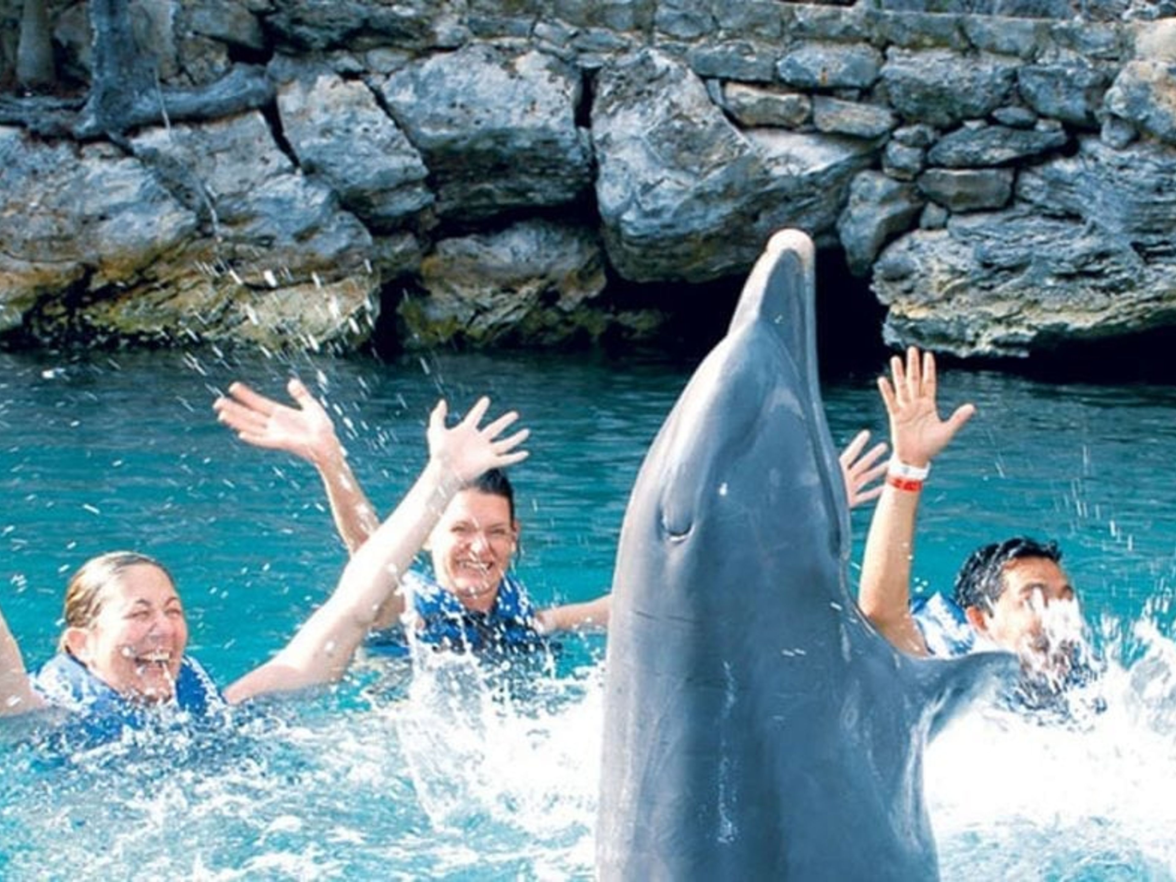 Tour "Sea Trek à Xel Ha"