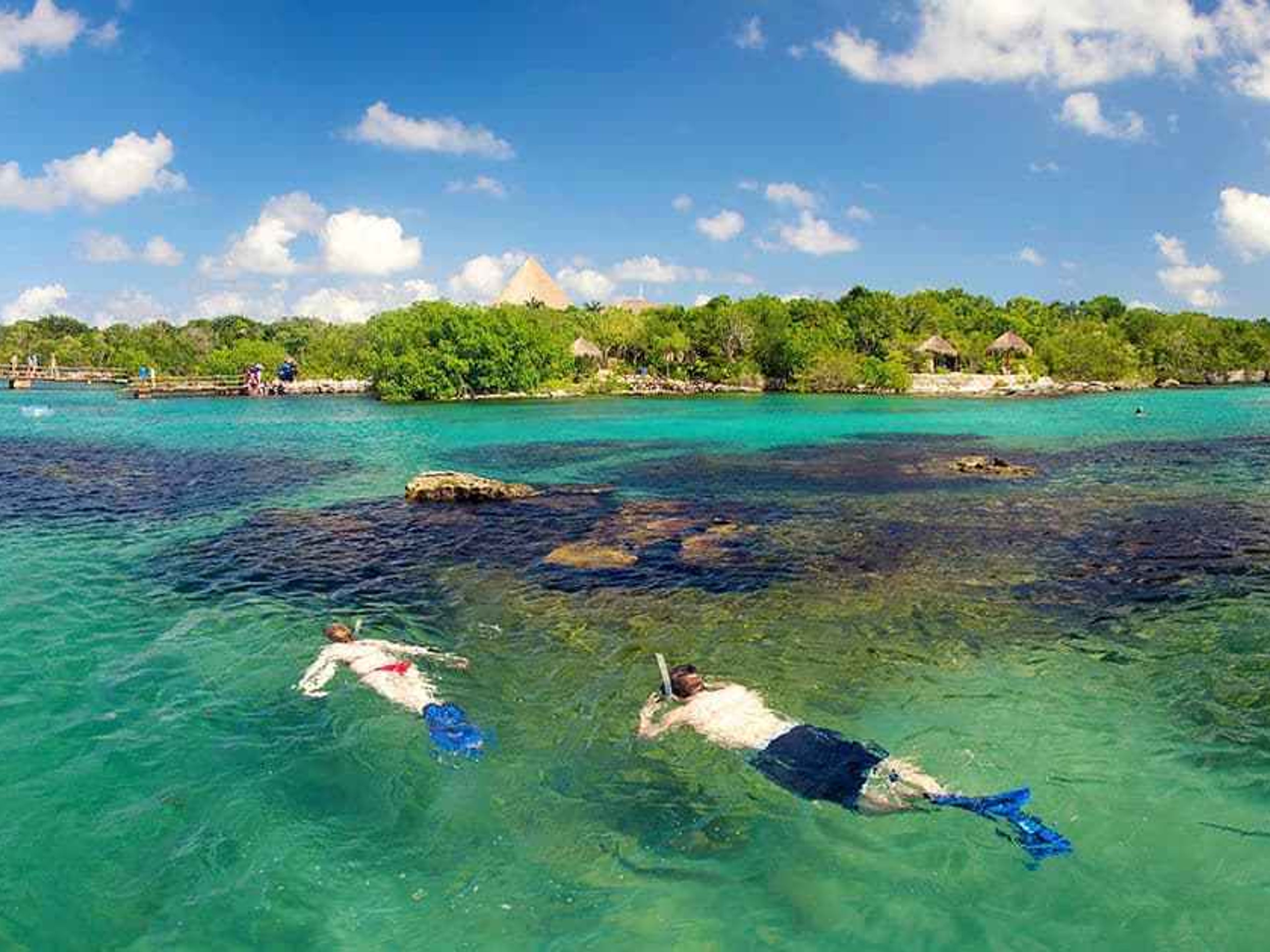 Excursão "Passeio Marítimo em Xel Ha". Enjoy in Xel-Ha Park, a place to have fun with its attractive attractions. Yucatan Peninsula, Mexico.