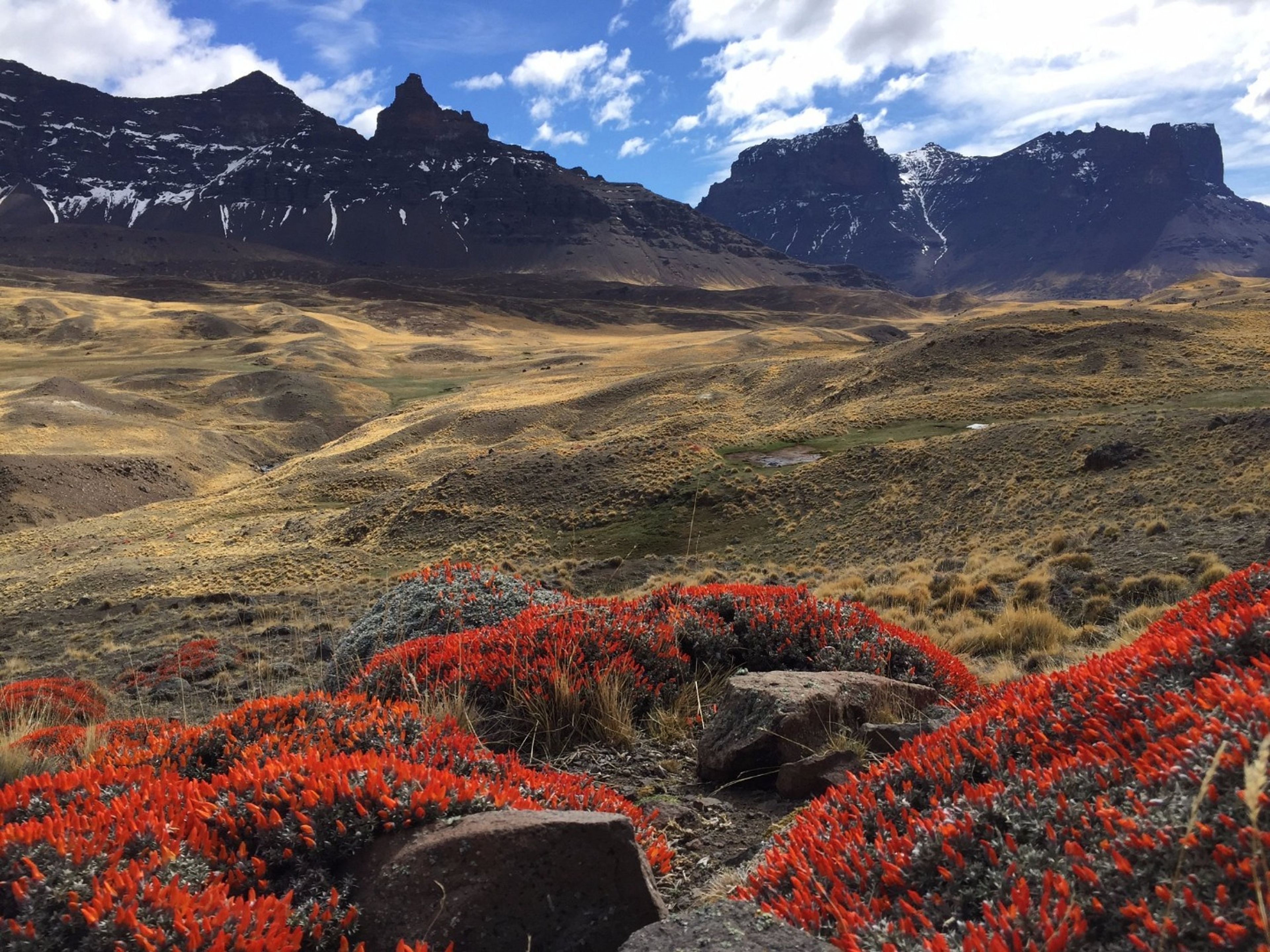 Tур "ТРЕККИНГ ВАЛЬЕ ФРАНСЕС + ЛАНЧ-БОКС + КАТАМАРАН". "VALLE FRANCES TREKKING + BOX LUNCH + CATAMARAN" Tour, Torres del Paine National Park, Chile.