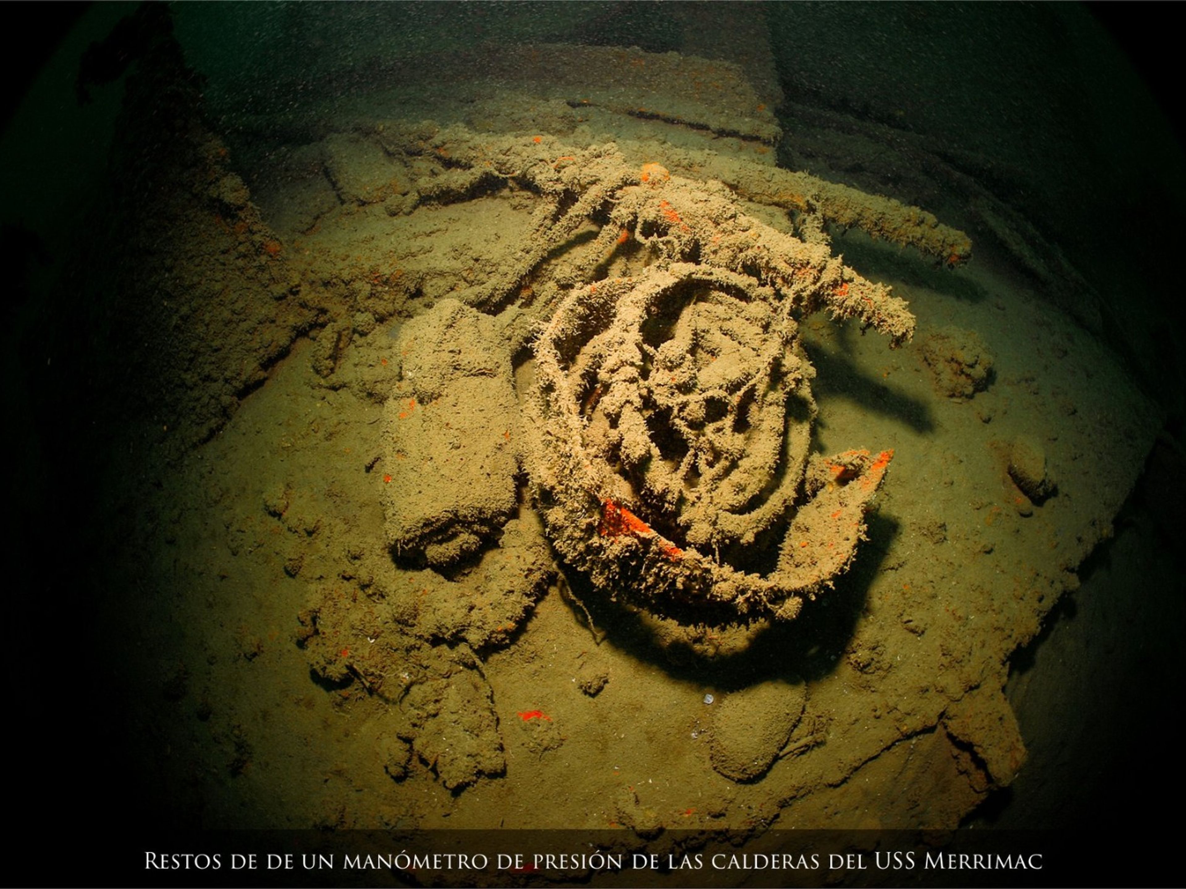Plongée sous-marine dans les épaves de la guerre hispano-cubaine et nord-américaine de 1898. "NAVIRE CHARBONNIER USS MERIMAC".. Remains of the boiler pressure gauge of the USS Merrimac. DIVING IN WRECKS OF THE HISPANIC - CUBAN - NORTH AMERICAN WAR OF 1898. "COAL SHIP USS MERRIMAC".