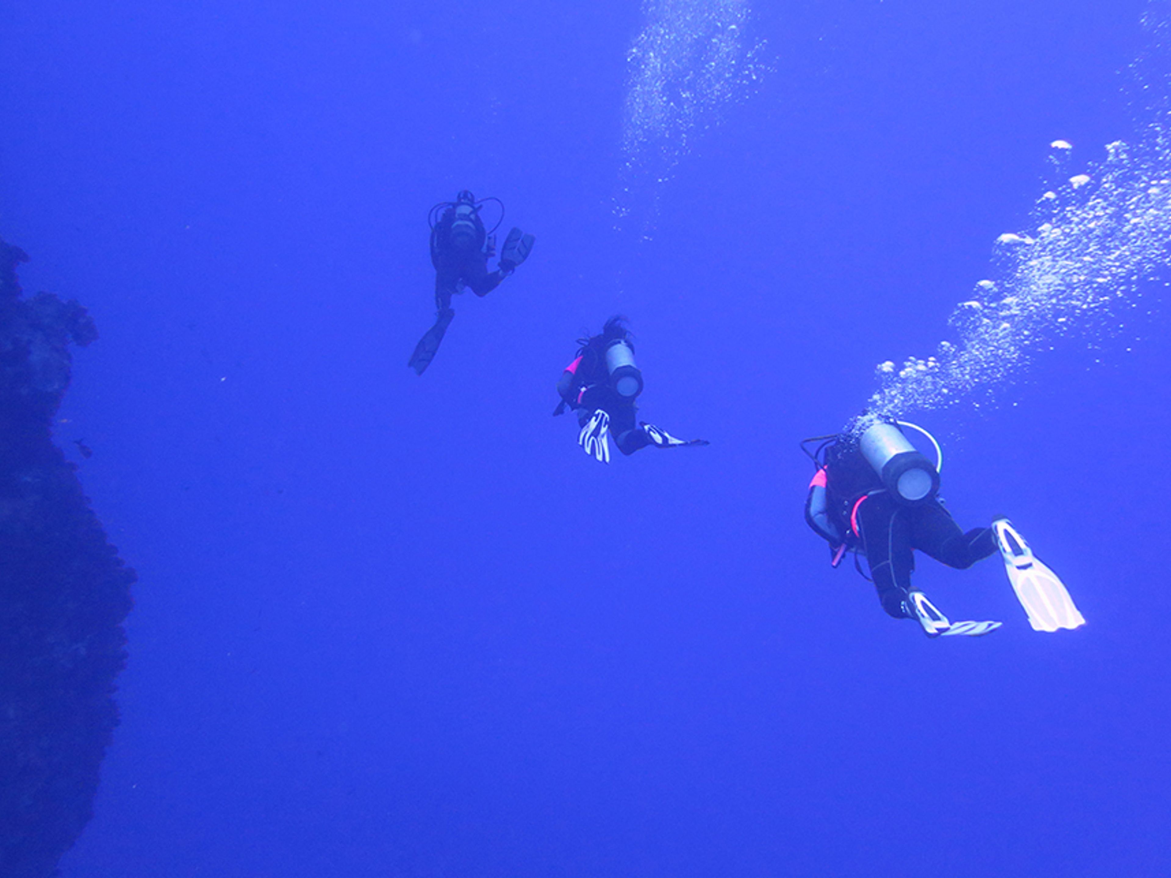 “DIVING AT LOS MOTUS” TOUR.. null