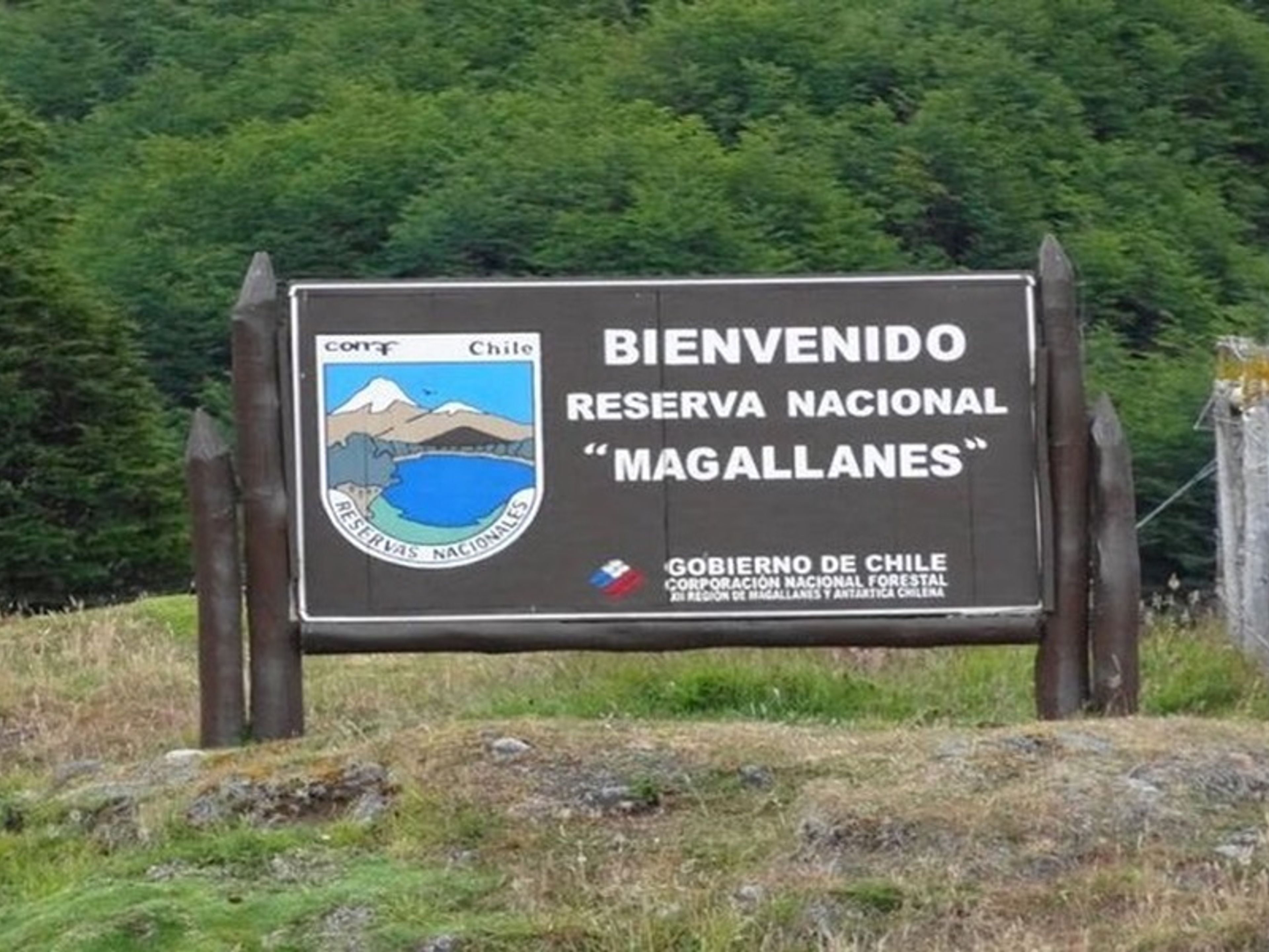 "MAGALLANES-NATIONALRESERVAT" Tour. "MAGALLANES NATIONAL RESERVE" Tour, Punta Arenas, Chile.