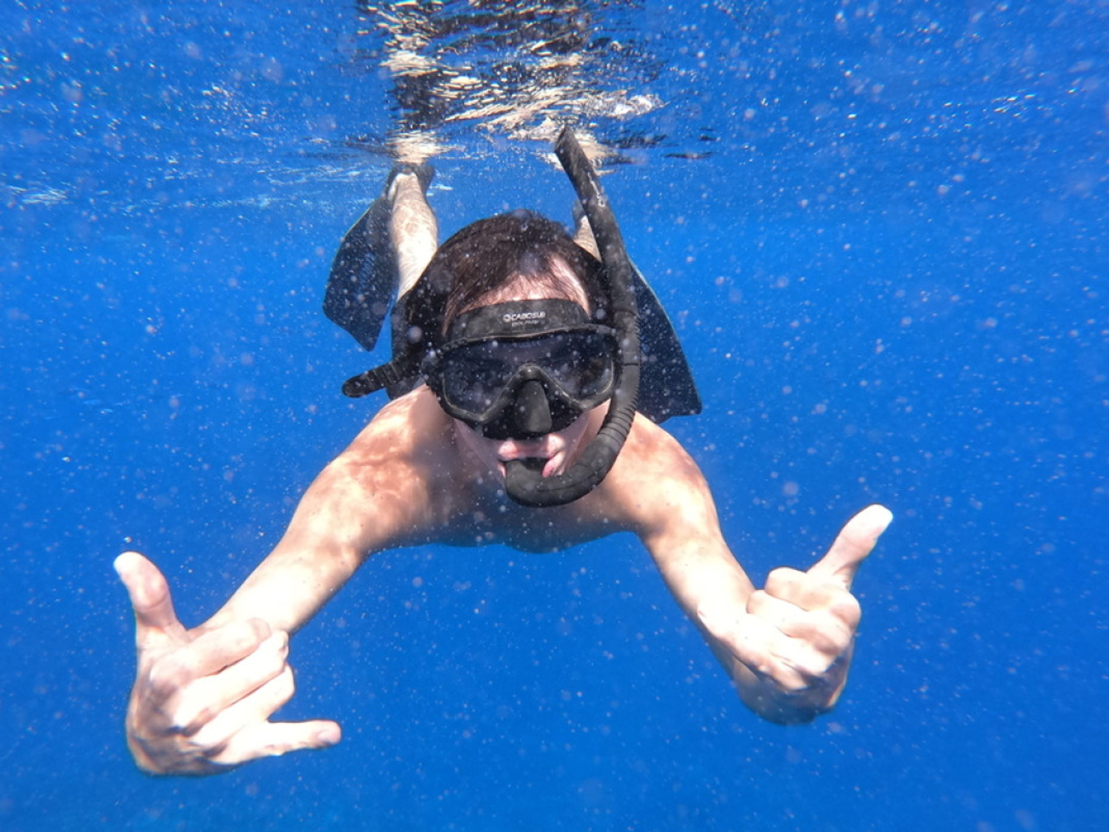 TOUR “SNORKELING EN BATEAU AU MOTUS”.. null