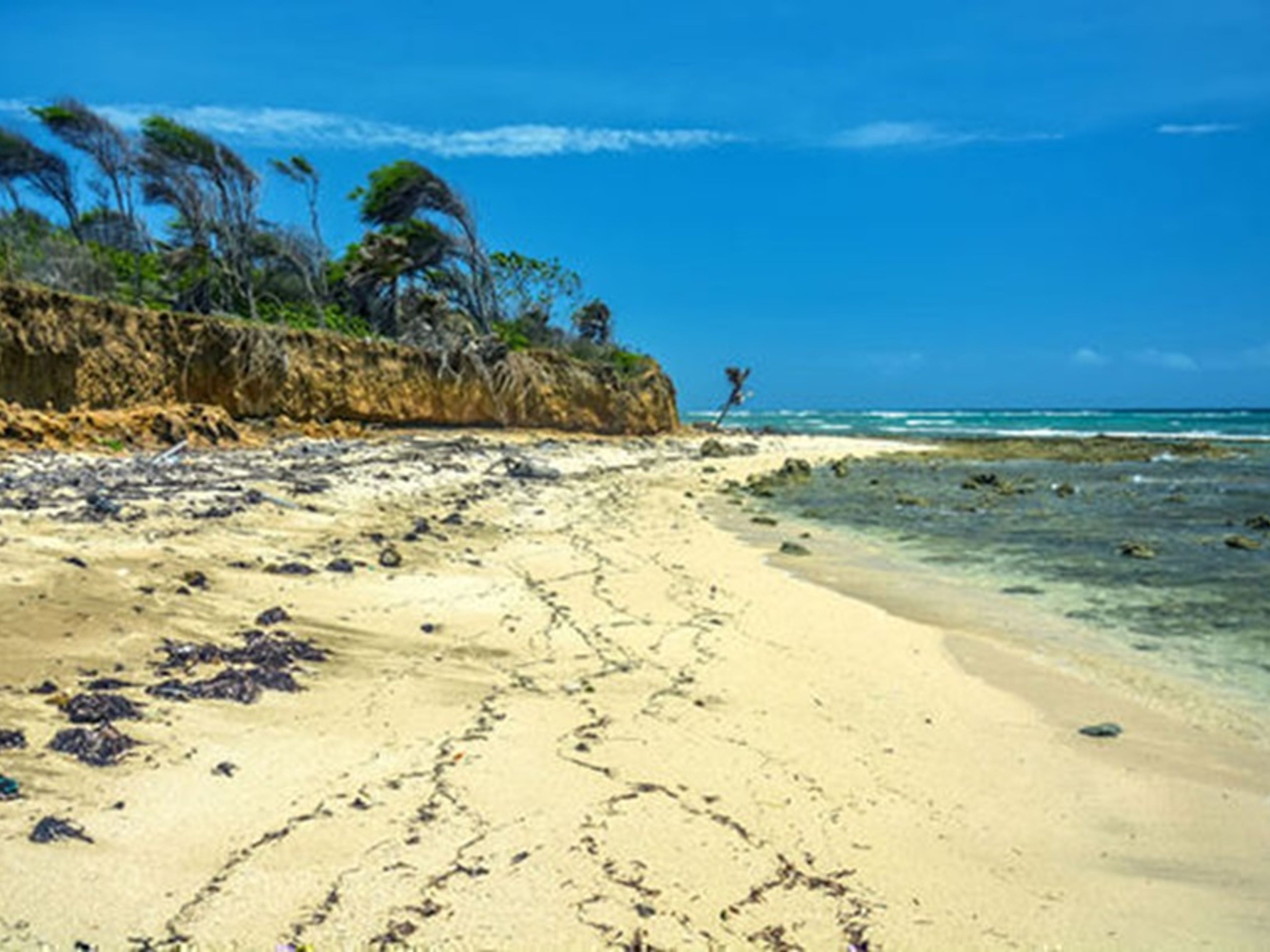 “RIDE PLUS SNORKELING AT RAMON DE ANTILLAS BEACH (MORNING SESSION)” Tour. “RIDE PLUS SNORKELING AT RAMON DE ANTILLAS BEACH (MORNING SESSION)” Tour, Ramón de Antillas beach, Holguín, Cuba.
