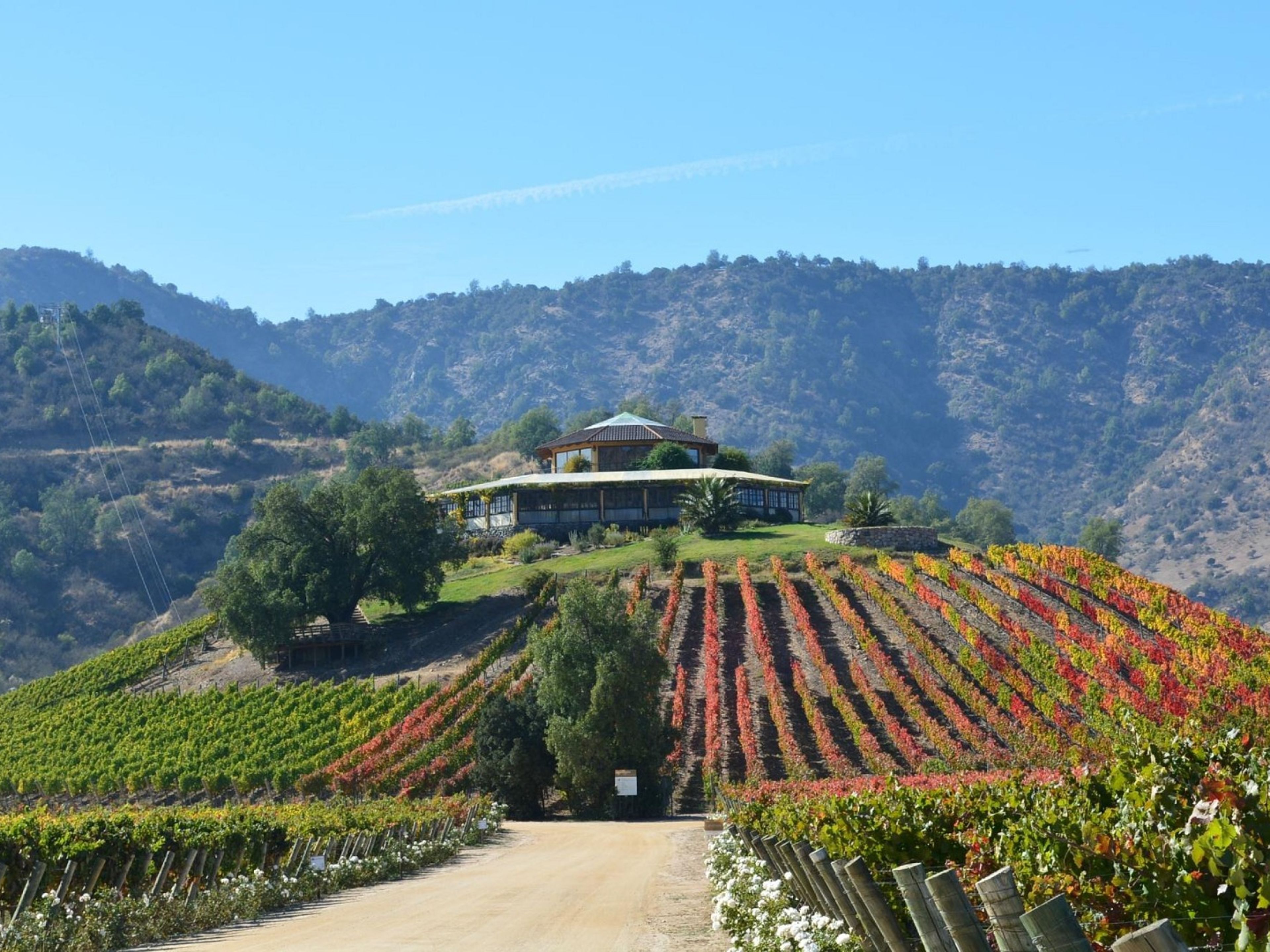 Tур "ВИНОДЕЛЬНЯ SANTA CRUZ"