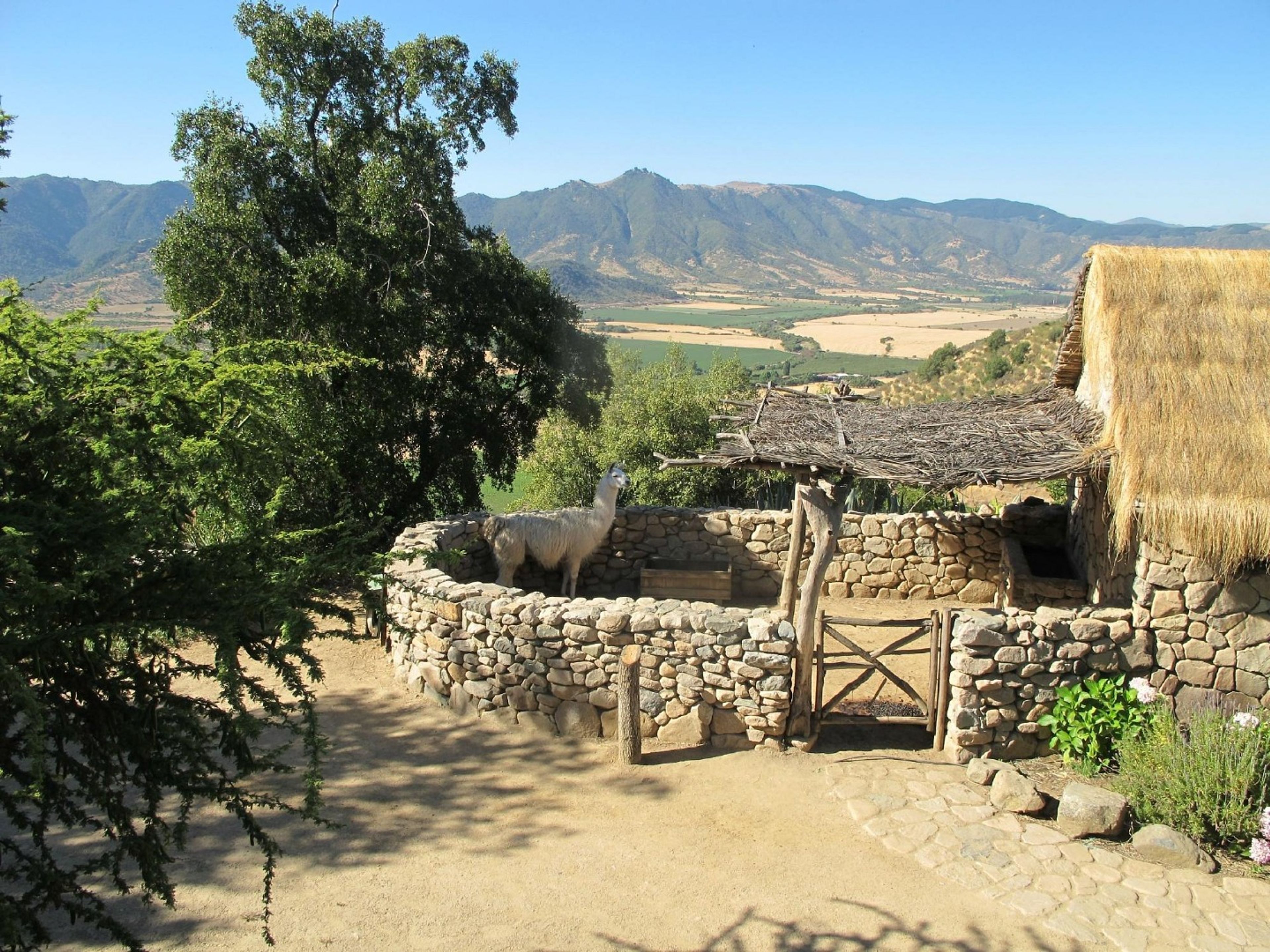 Tур "ВИНОДЕЛЬНЯ SANTA CRUZ". “SANTA CRUZ WINERY” Tour, Colchagua Valley, Chile.