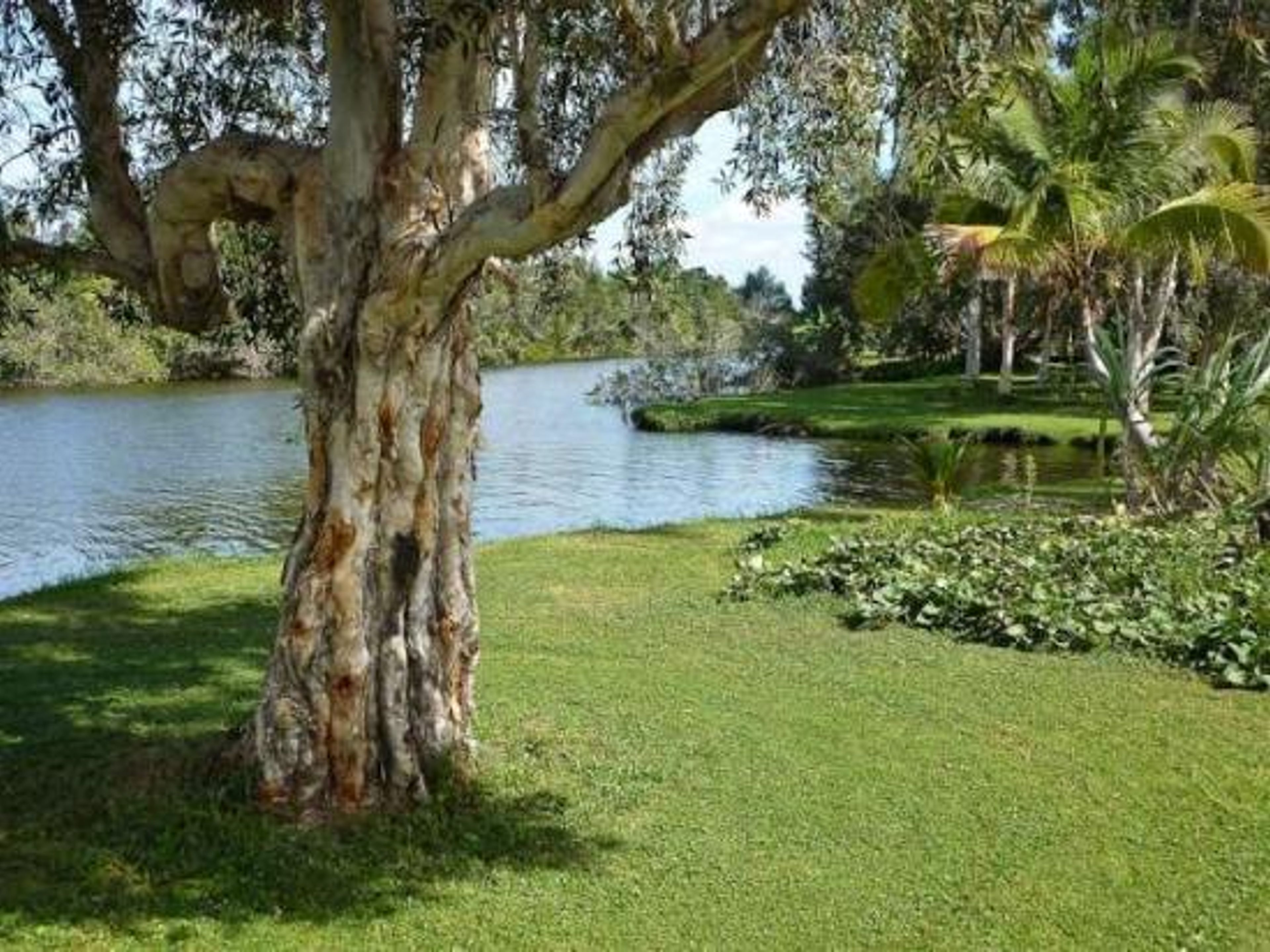 "Flusswanderung am Hatiguanico-Fluss". "Fluvial Walk by the Hatiguanico River"