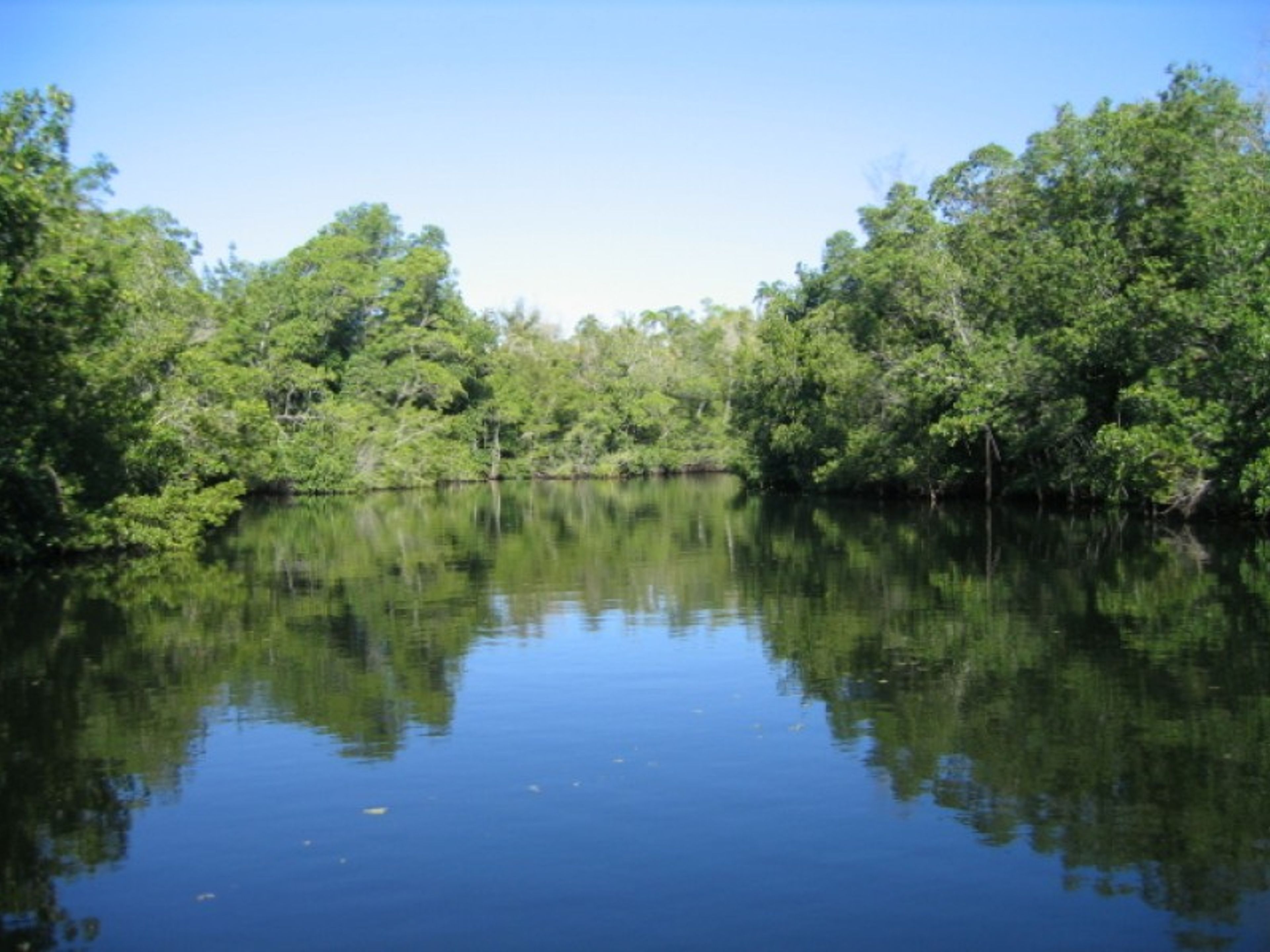 "Flusswanderung am Hatiguanico-Fluss". "Fluvial Walk by the Hatiguanico River"