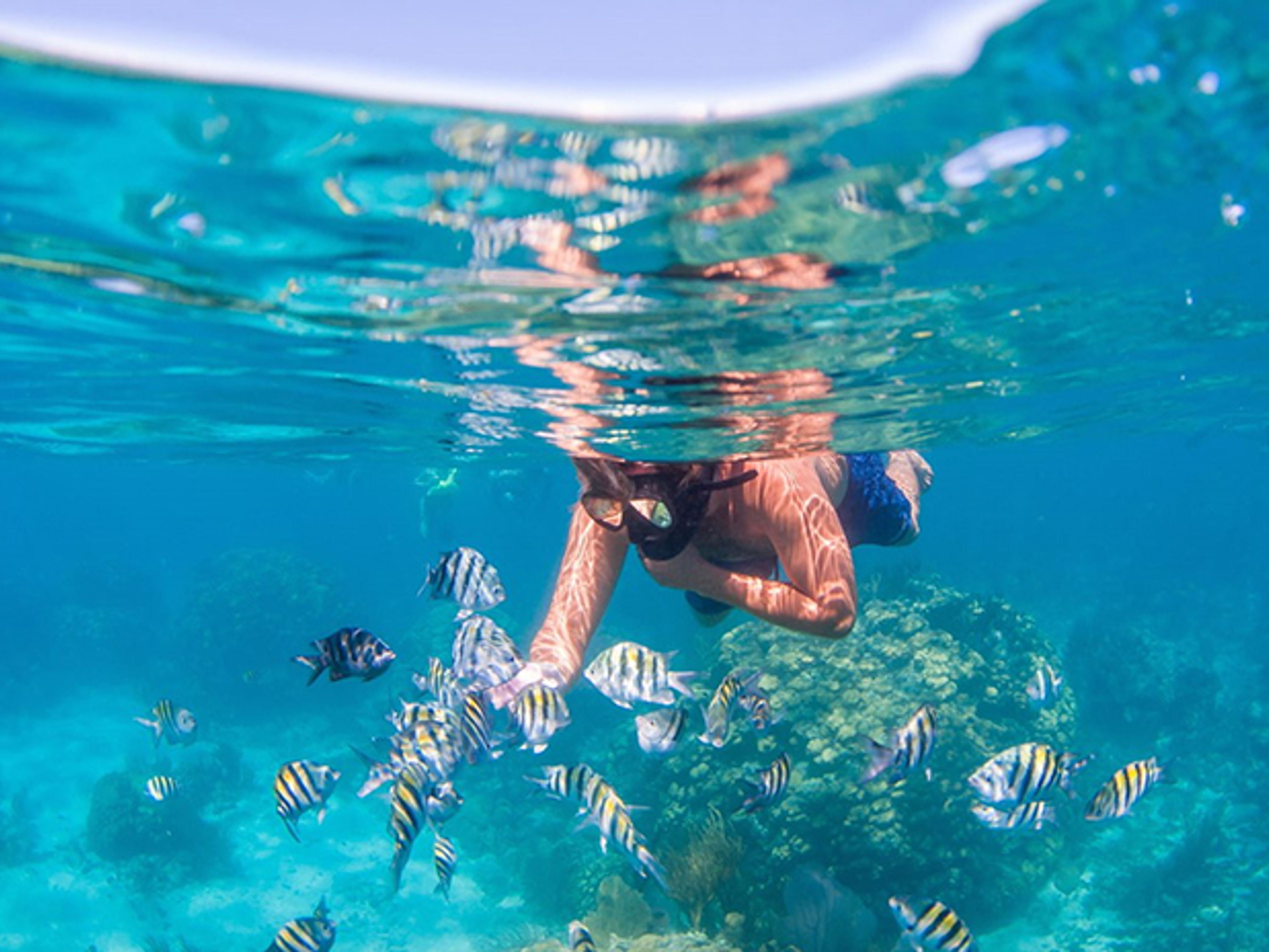 Jeep Safari “NATURE TOUR 4X4“. Snorkeling in Punta Maya. Matanzas, Cuba.