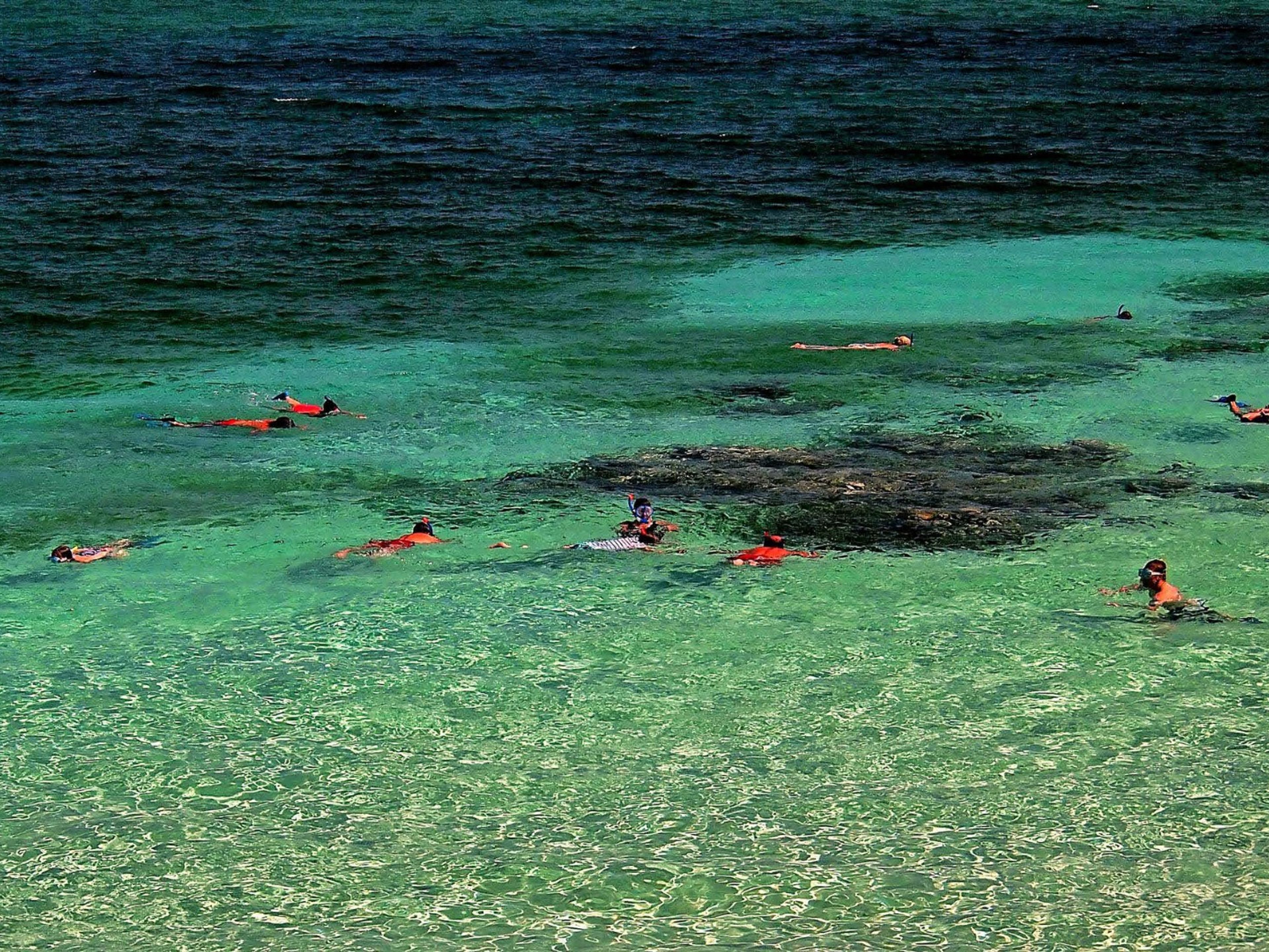"OCEAN PARADISE" Tour. Snorkeling at the coral reef, Guardalavaca beach