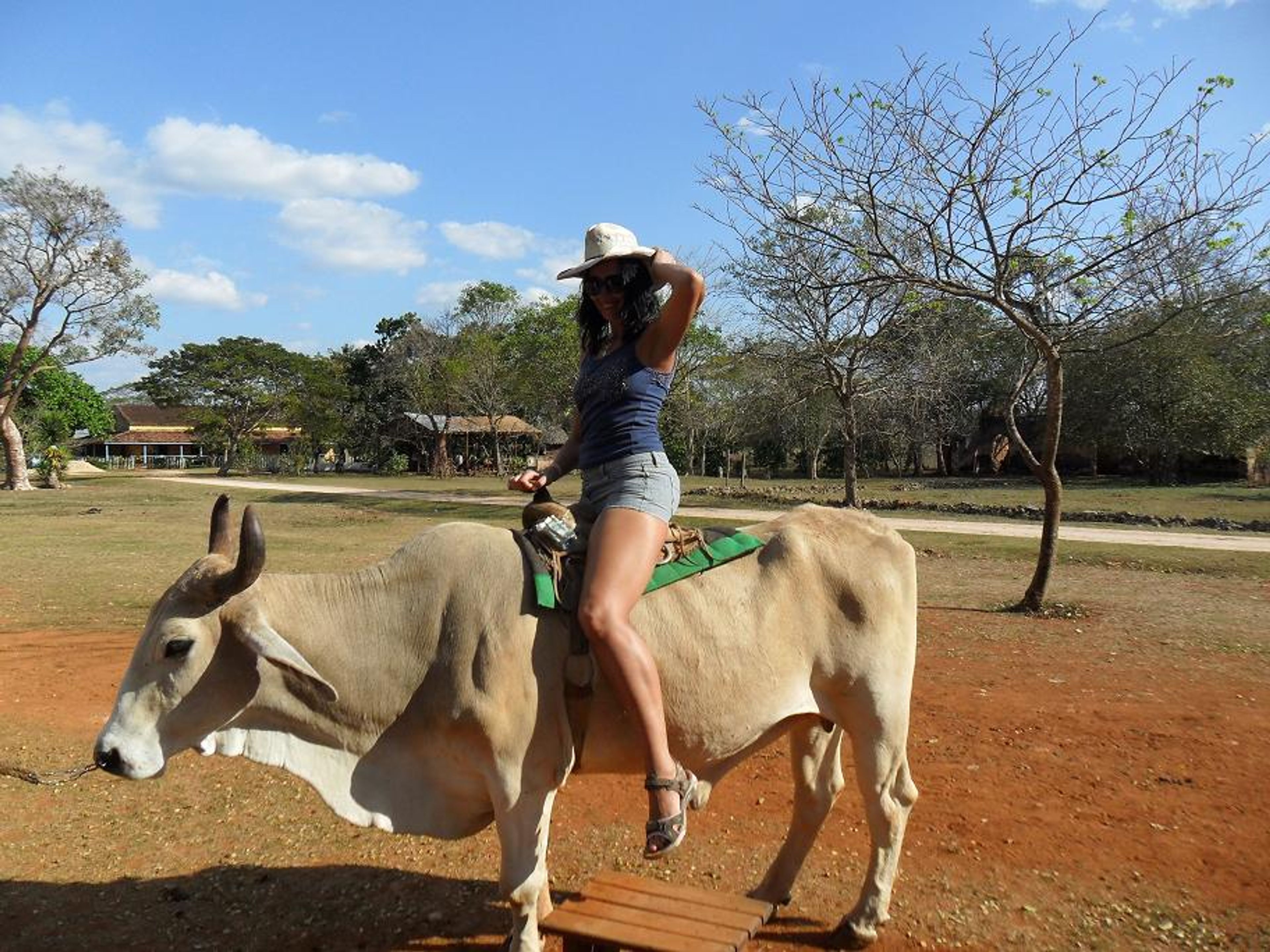 Jeep Safari "NATURE TOUR 4X4". La Dionisia farm, Old coffee plantation panoramic view, Matanzas