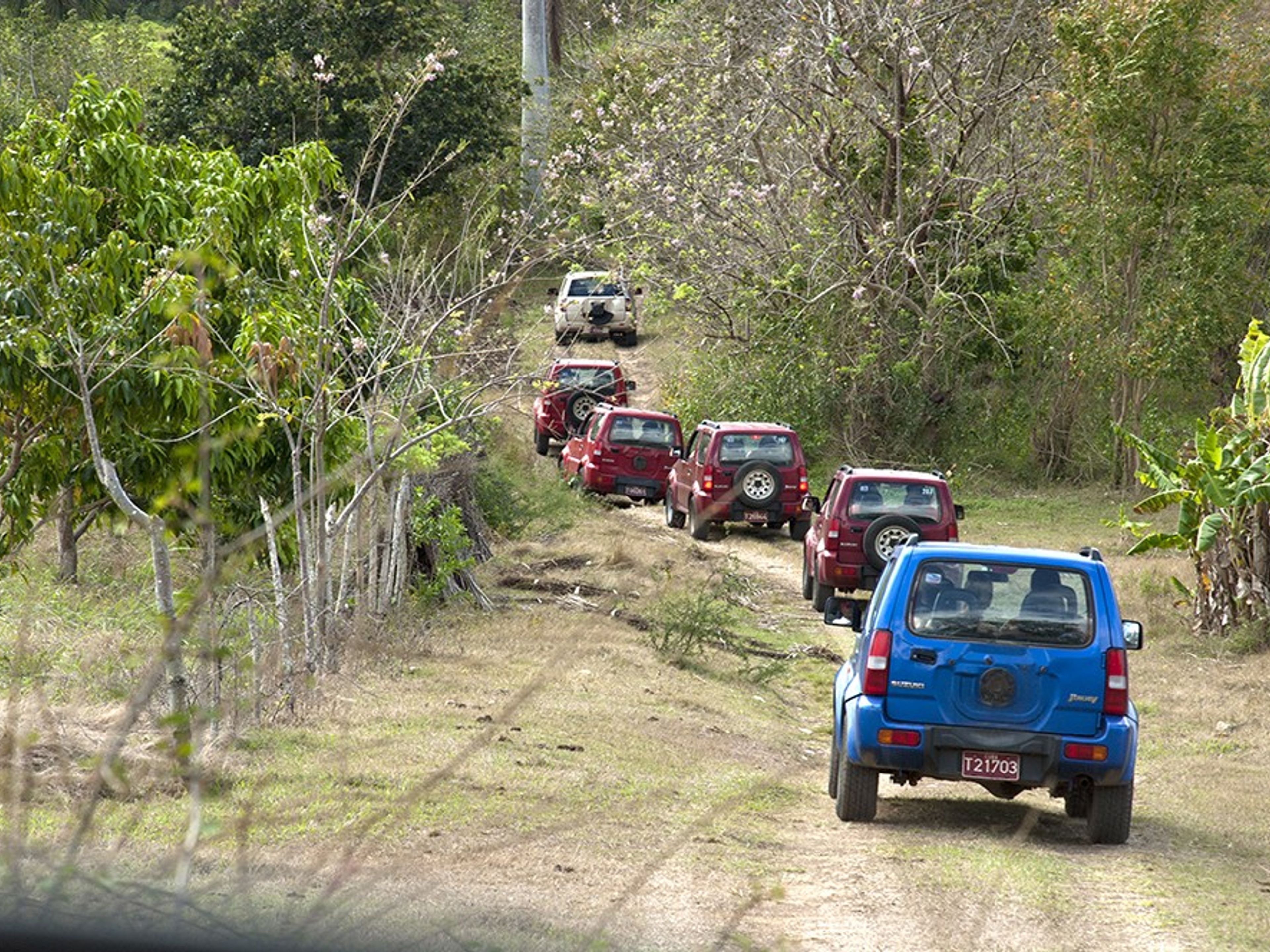 Jeep Safari "NATURE TOUR 4X4"