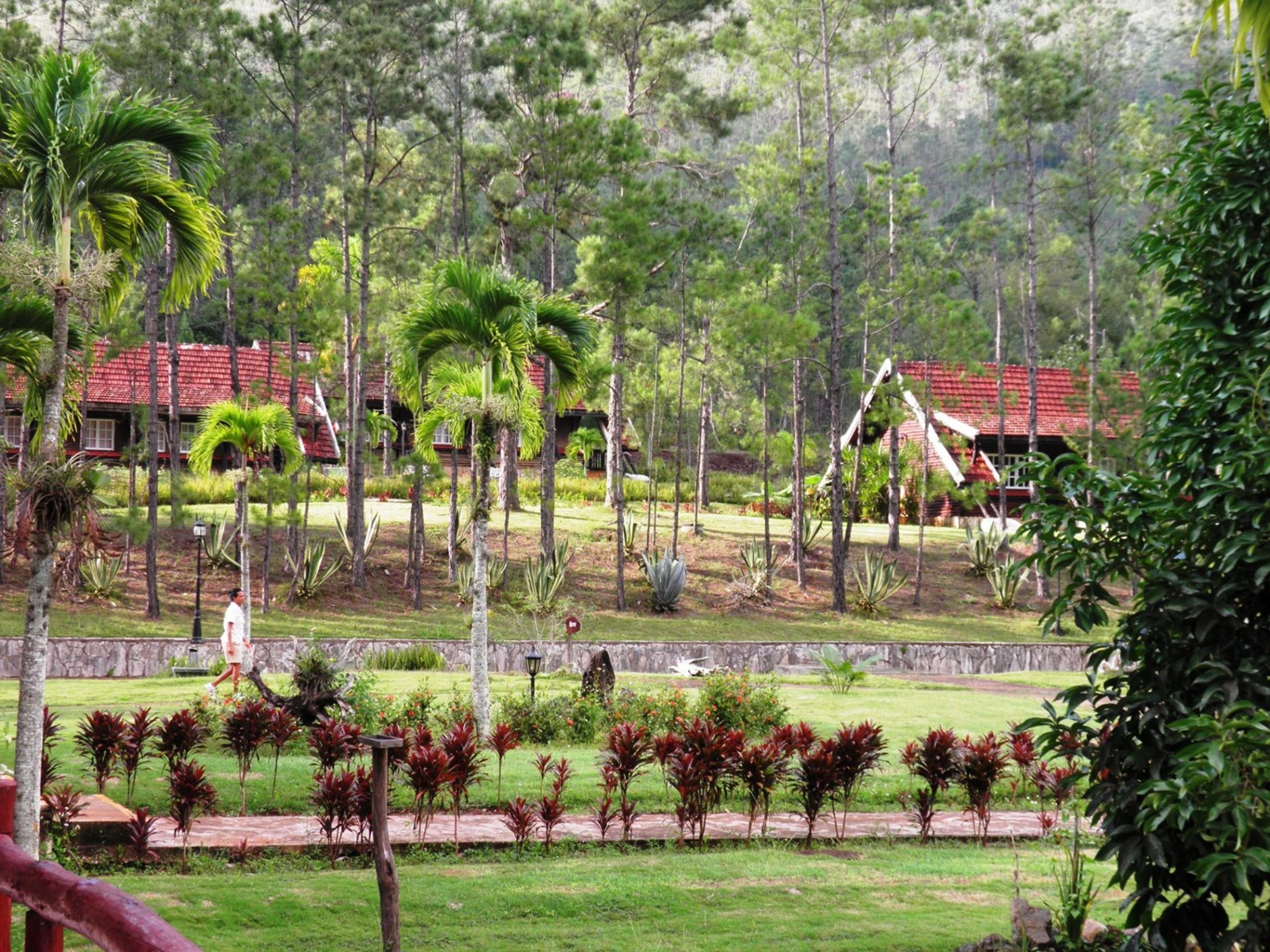Excursão “PINARES DE MAYARÍ OVERNIGHT”. Pinares de Mayarí, Holguín