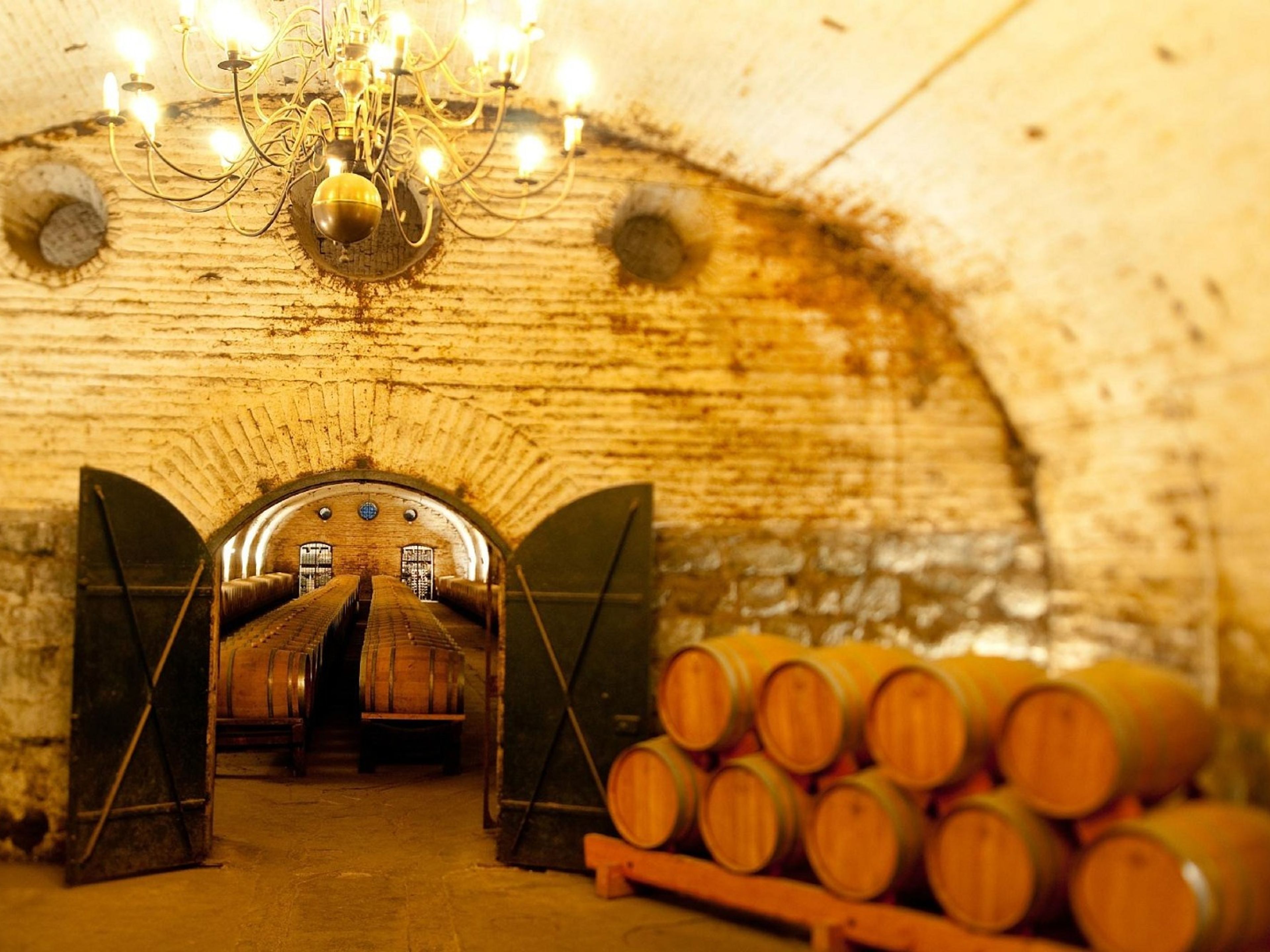 Excursão “ADEGA COUSIÑO MACUL”