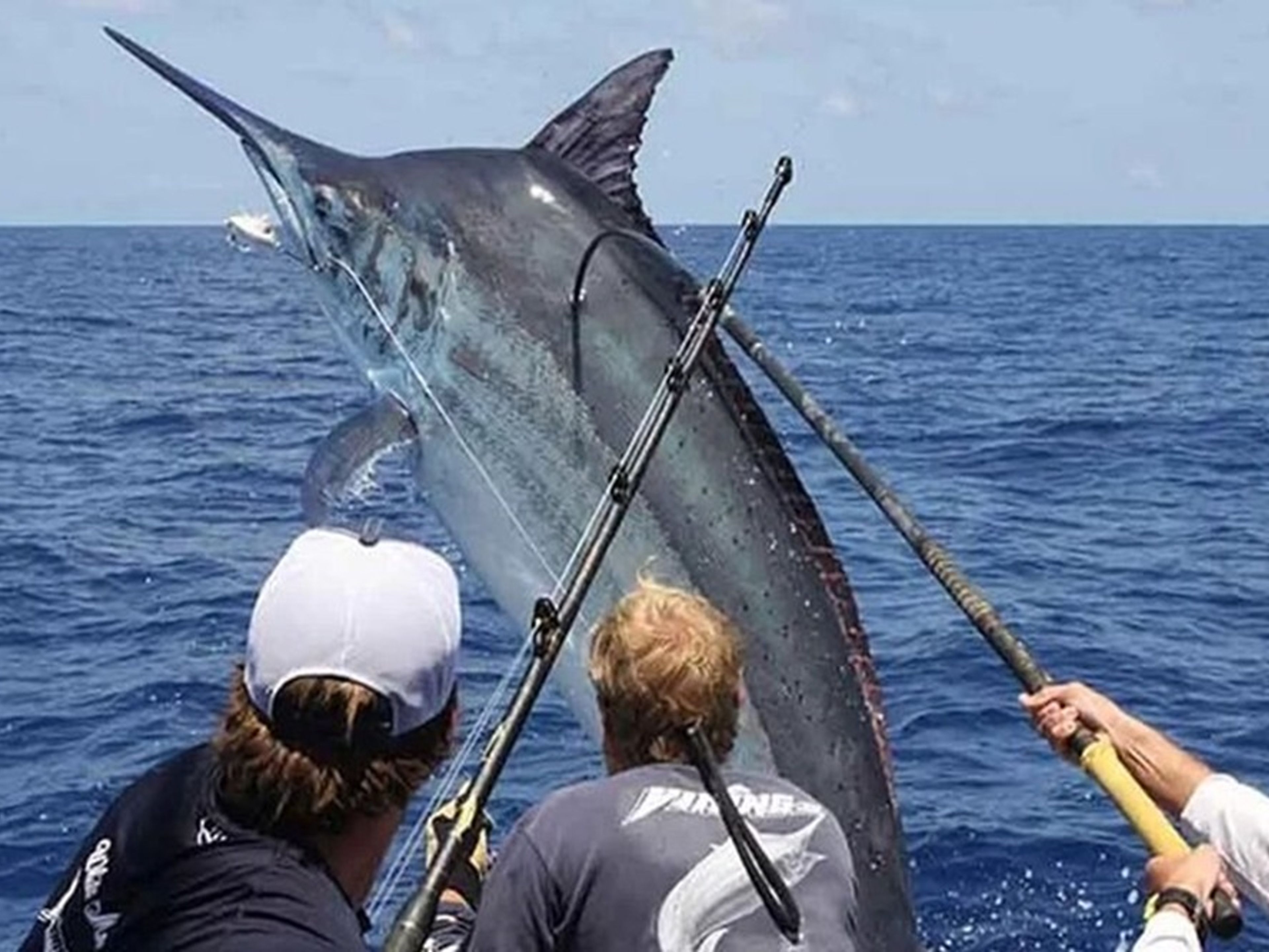 Excursión “PESCA DE ALTURA EN PUNTA CANA”