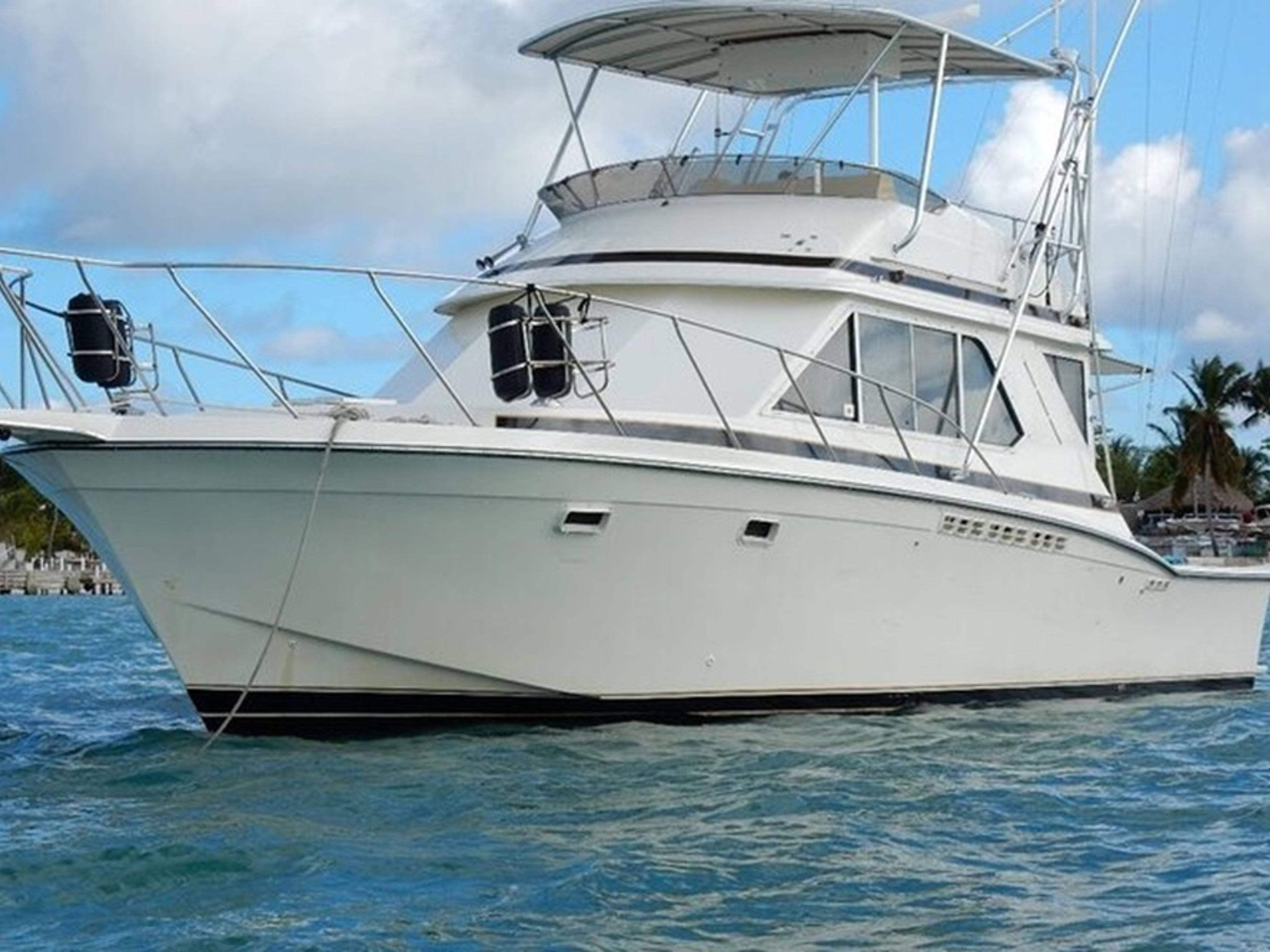 Excursión “PESCA DE ALTURA EN PUNTA CANA”. DEEP SEA FISHING IN PUNTA CANA, Dominican Republic