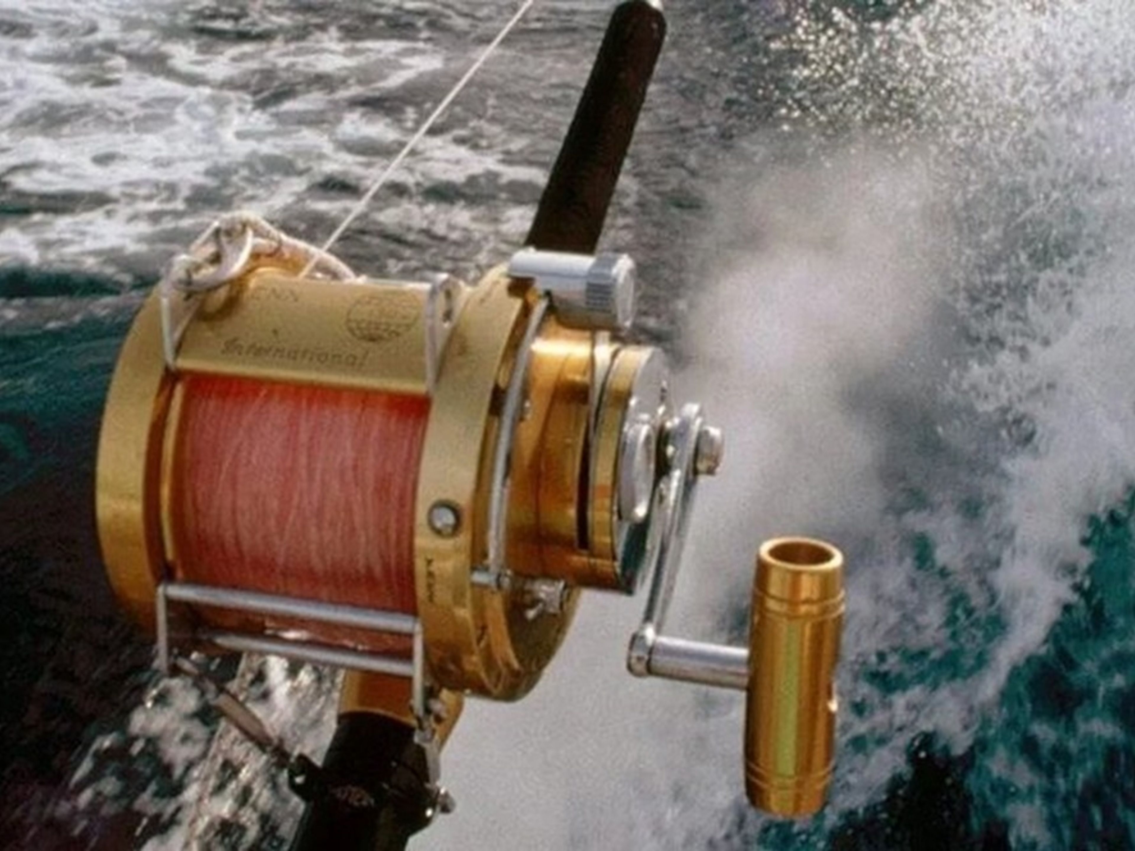 Excursión “PESCA DE ALTURA EN PUNTA CANA”. DEEP SEA FISHING IN PUNTA CANA, Dominican Republic