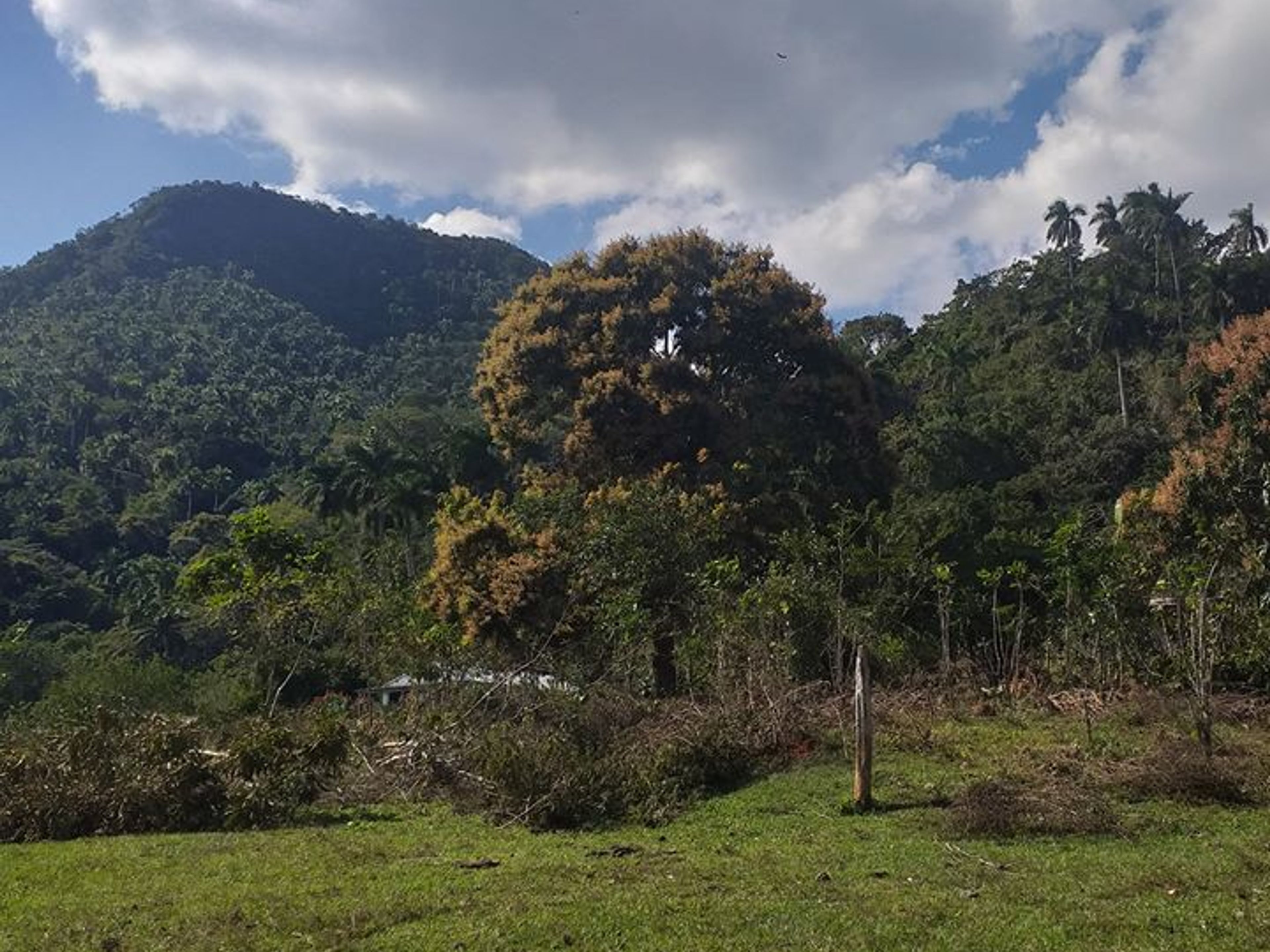 Caminho "El Brujito". "El Brujito" Trail