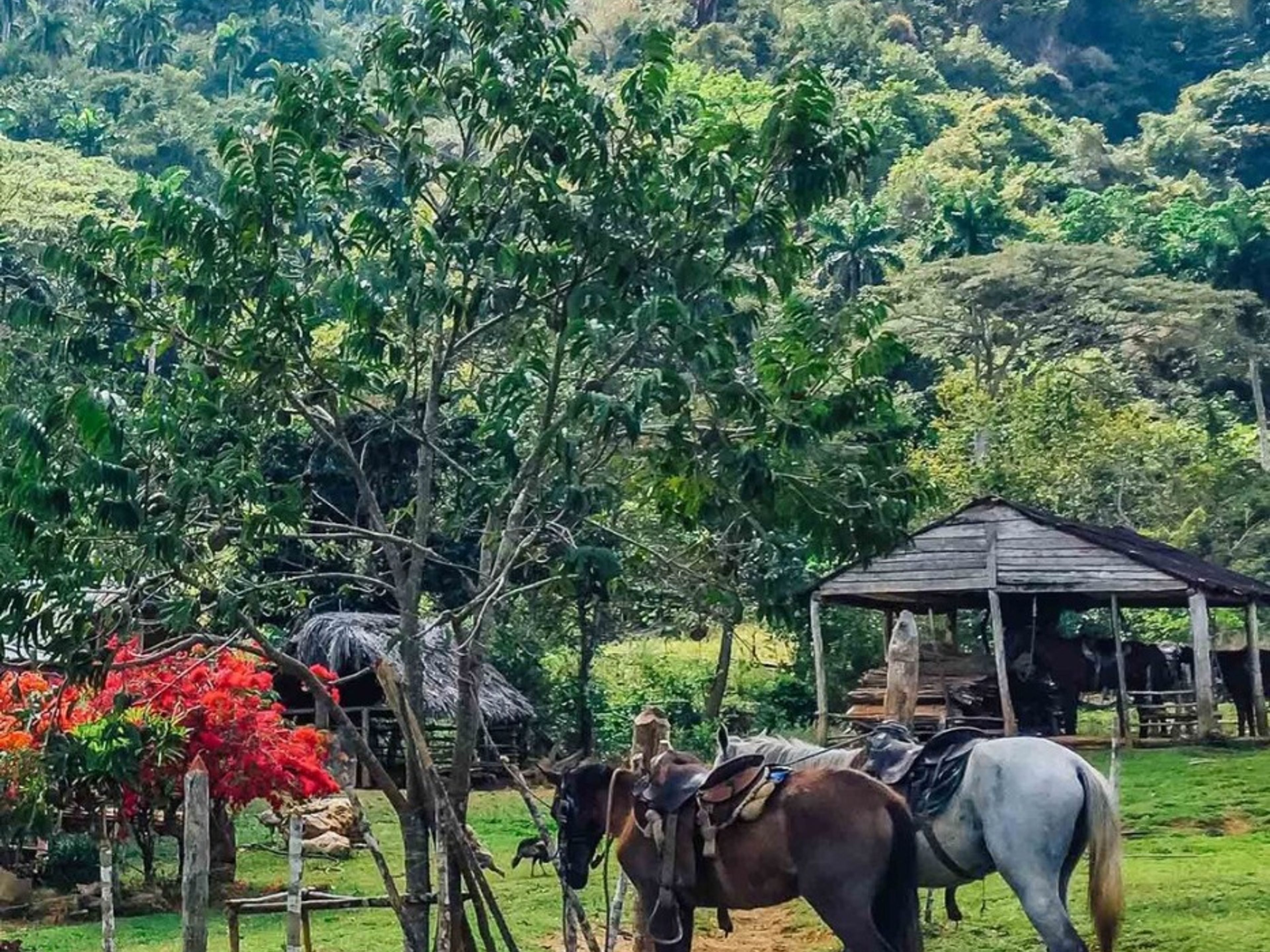 Caminho "El Brujito"