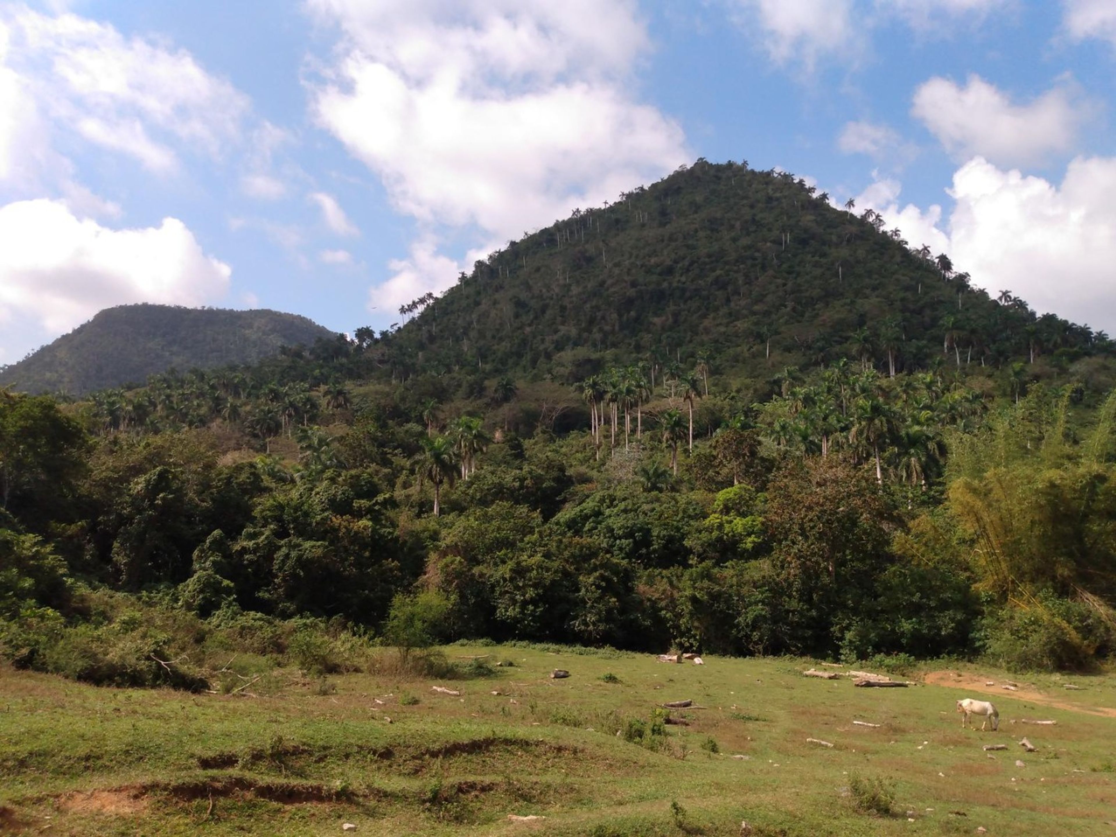 Excursión "SENDERO EL BRUJITO". Soroa Natural Park panoramic view, Artemisa, Cuba.