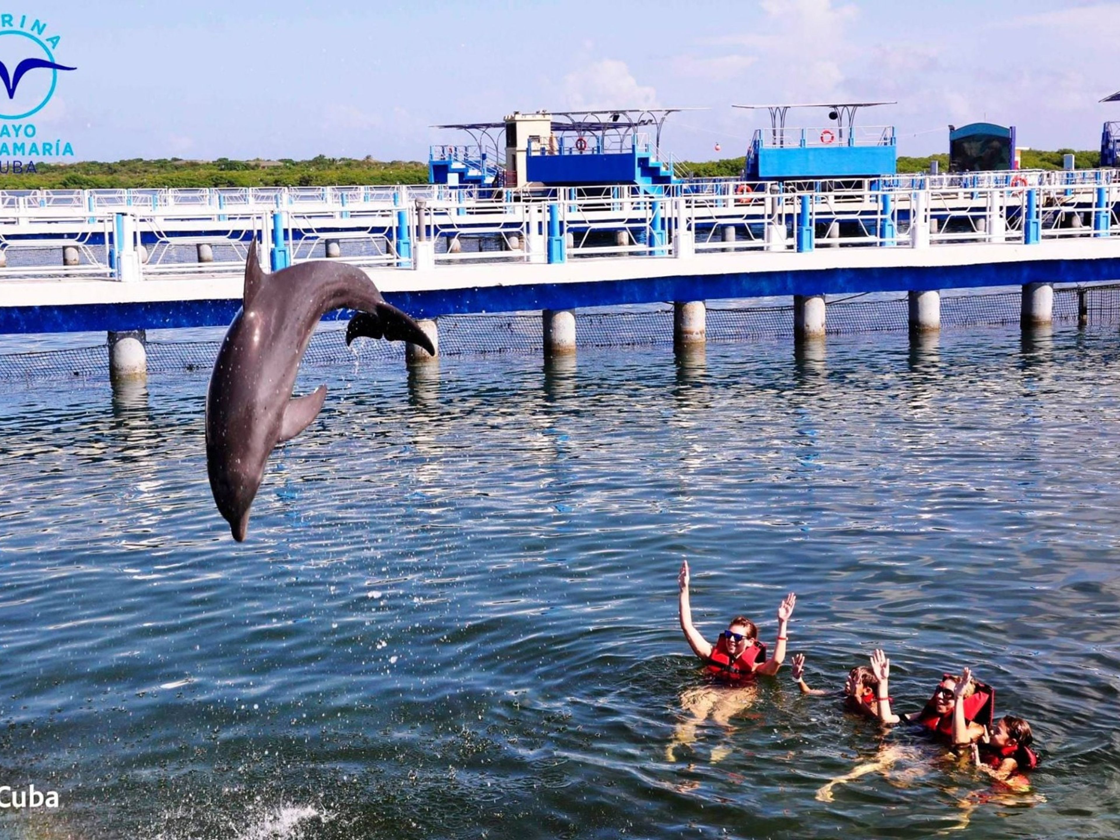 Tour "NUOTARE CON I DELFINI A CAYO SANTA MARÍA". “SWIMMING WITH DOLPHINS IN CAYO SANTA MARÍA“ Tour, Villa Clara, Cuba.