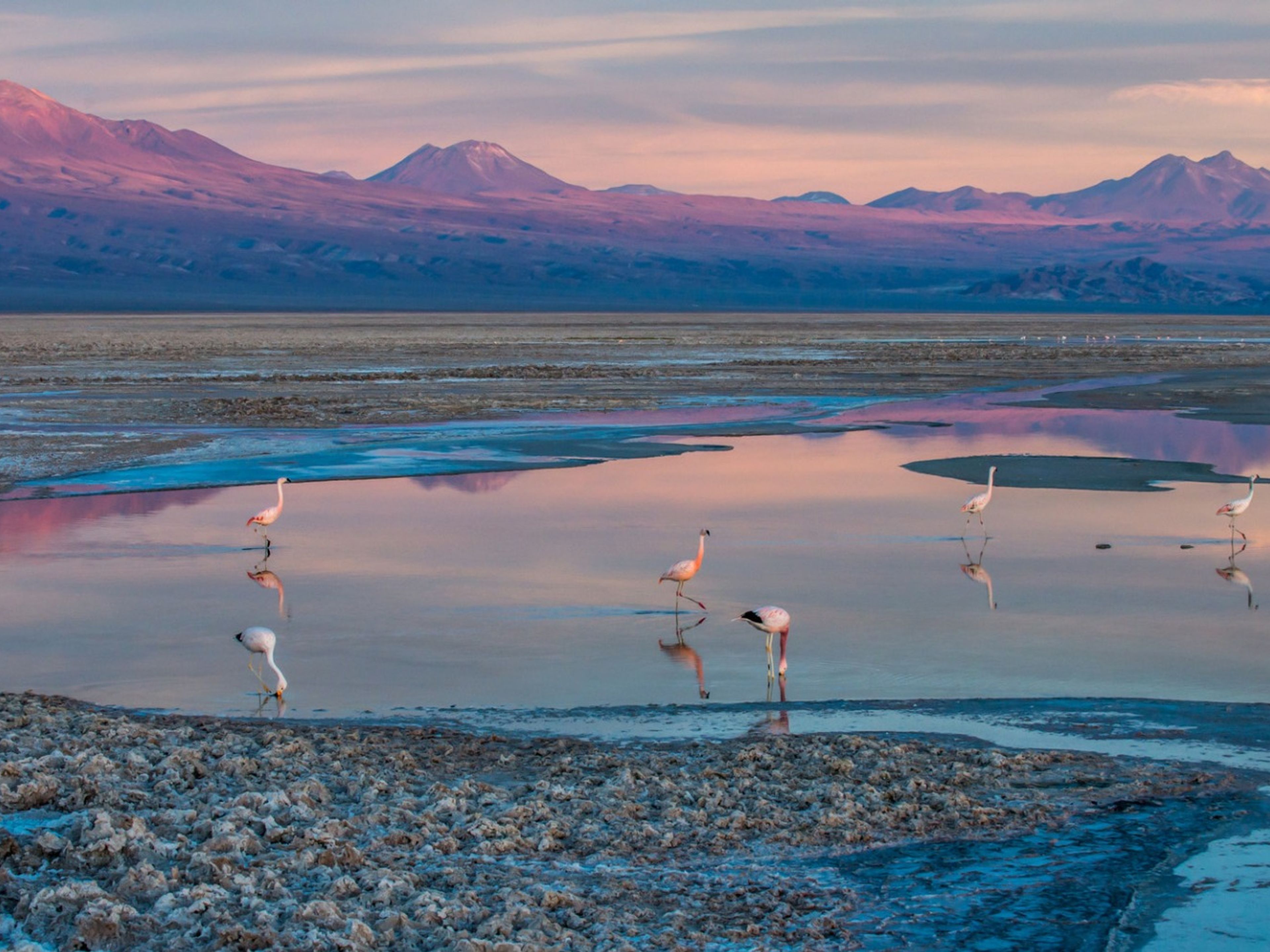 EXCURSIÓN “TOCONAO Y SALAR DE ATACAMA”