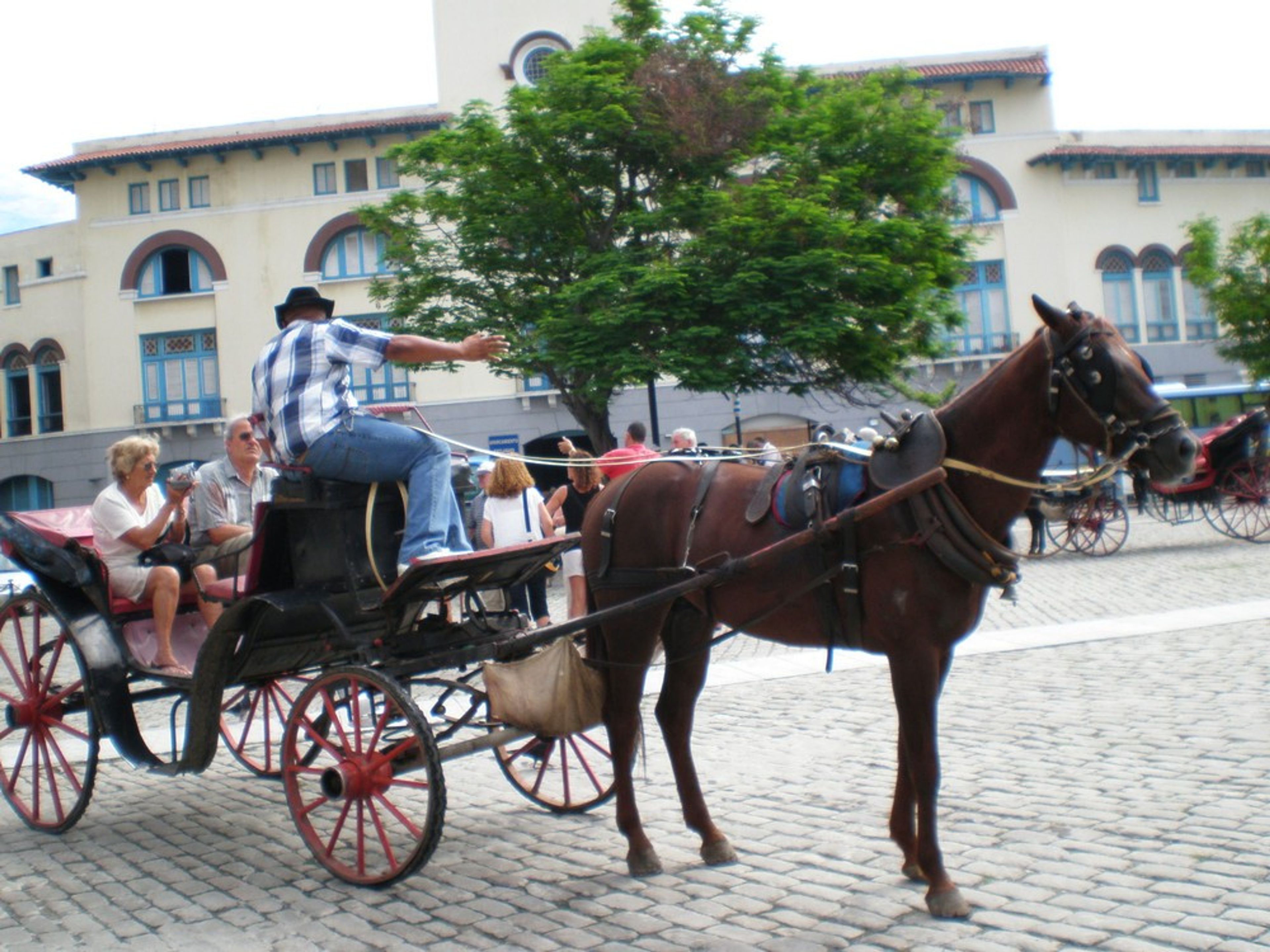 "HAVANA, HISTORY AND FUN + OPTIONAL VISIT TO THE TROPICANA CABARET" Tour (OPTION 1). null