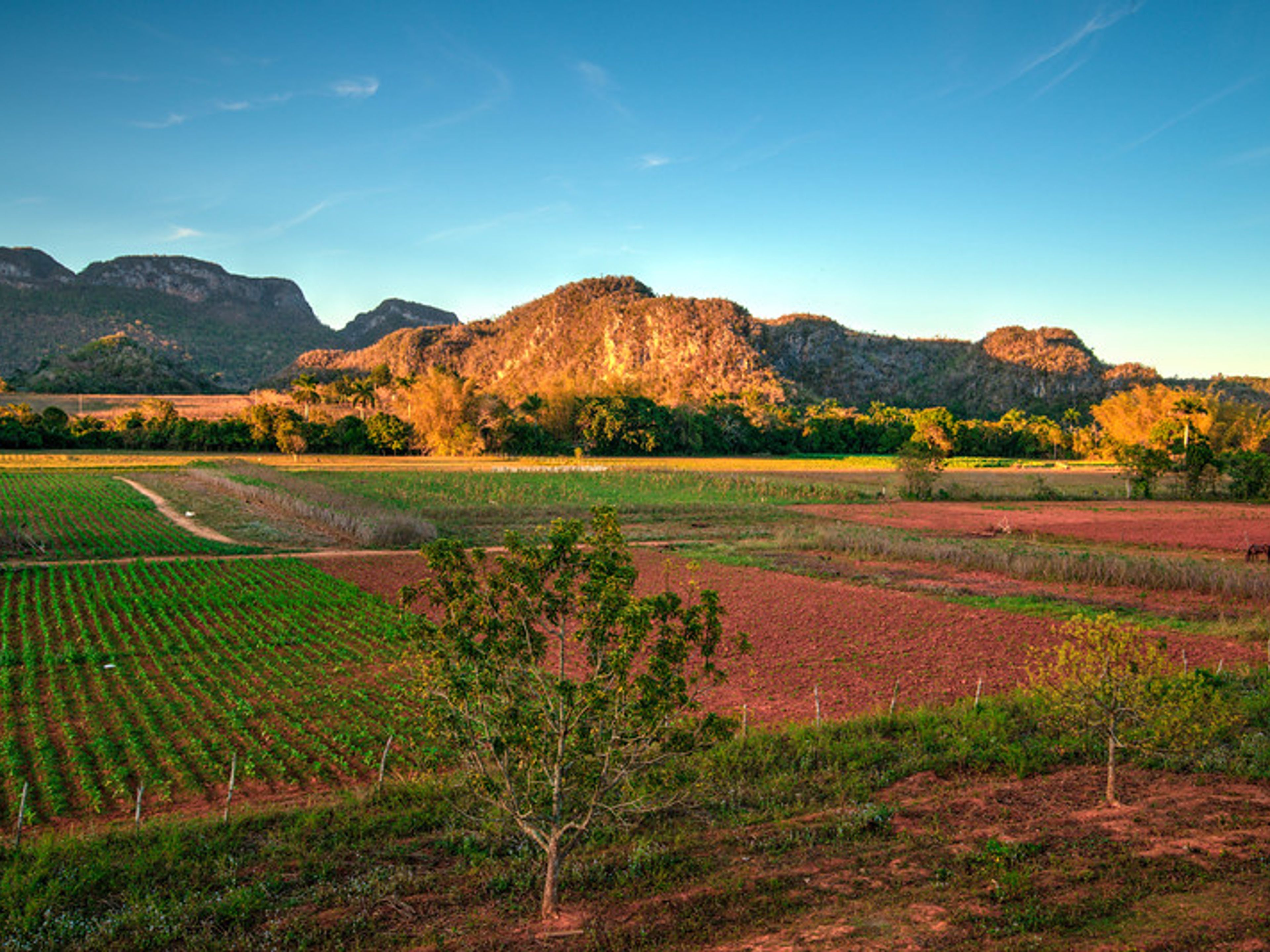 "Escursione attraverso la Valle del Silencio". The Valle del Silencio panoramic view, Viñales valley National Park, Pinar del Río