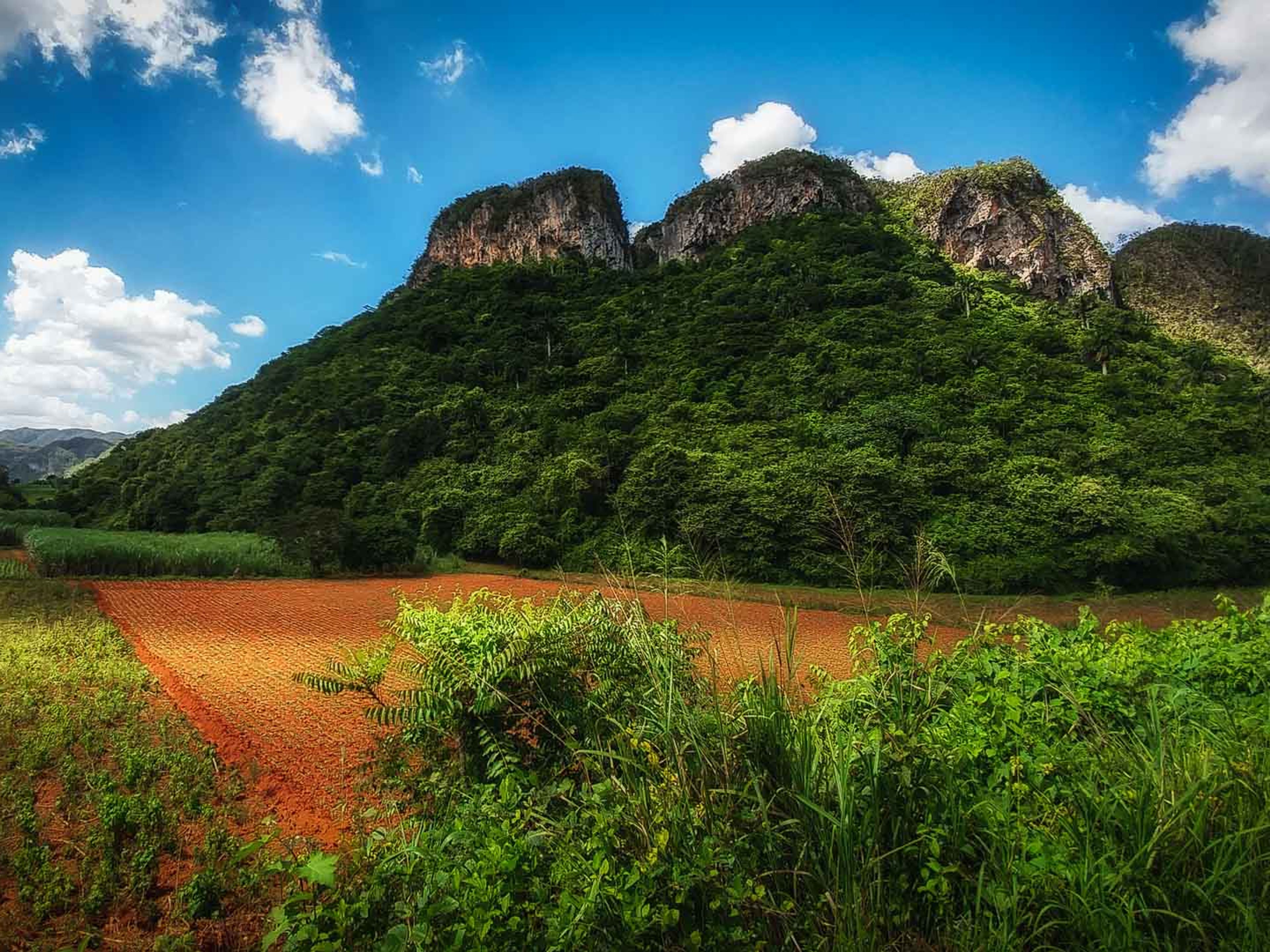 "Escursione attraverso la Valle del Silencio". The Valle del Silencio panoramic view, Viñales valley National Park, Pinar del Río