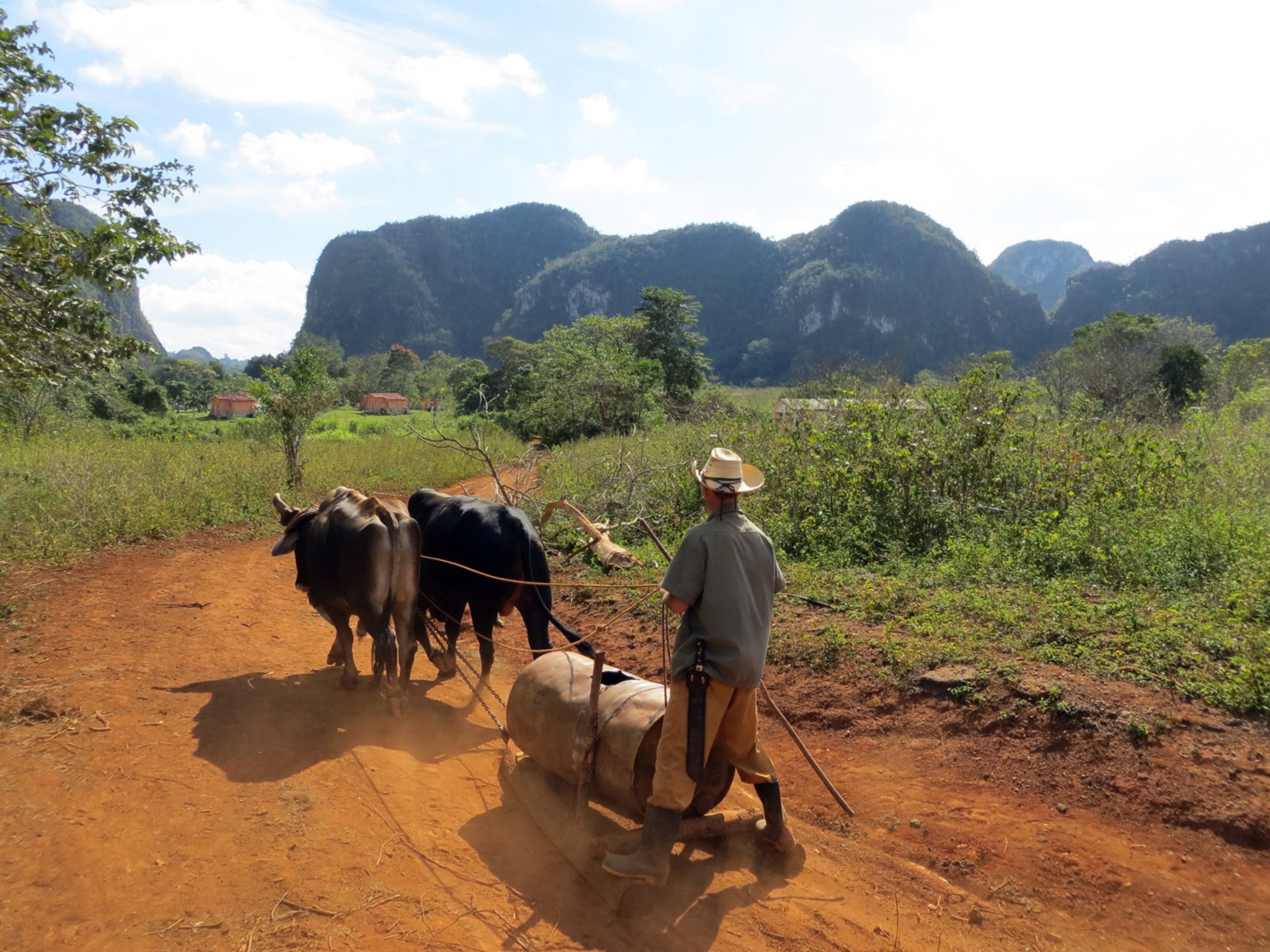 Excursión “CAMINATA A TRAVÉS DEL VALLE DEL SILENCIO”. Traditions and customs, Viñales valley National Park, Pinar del Río