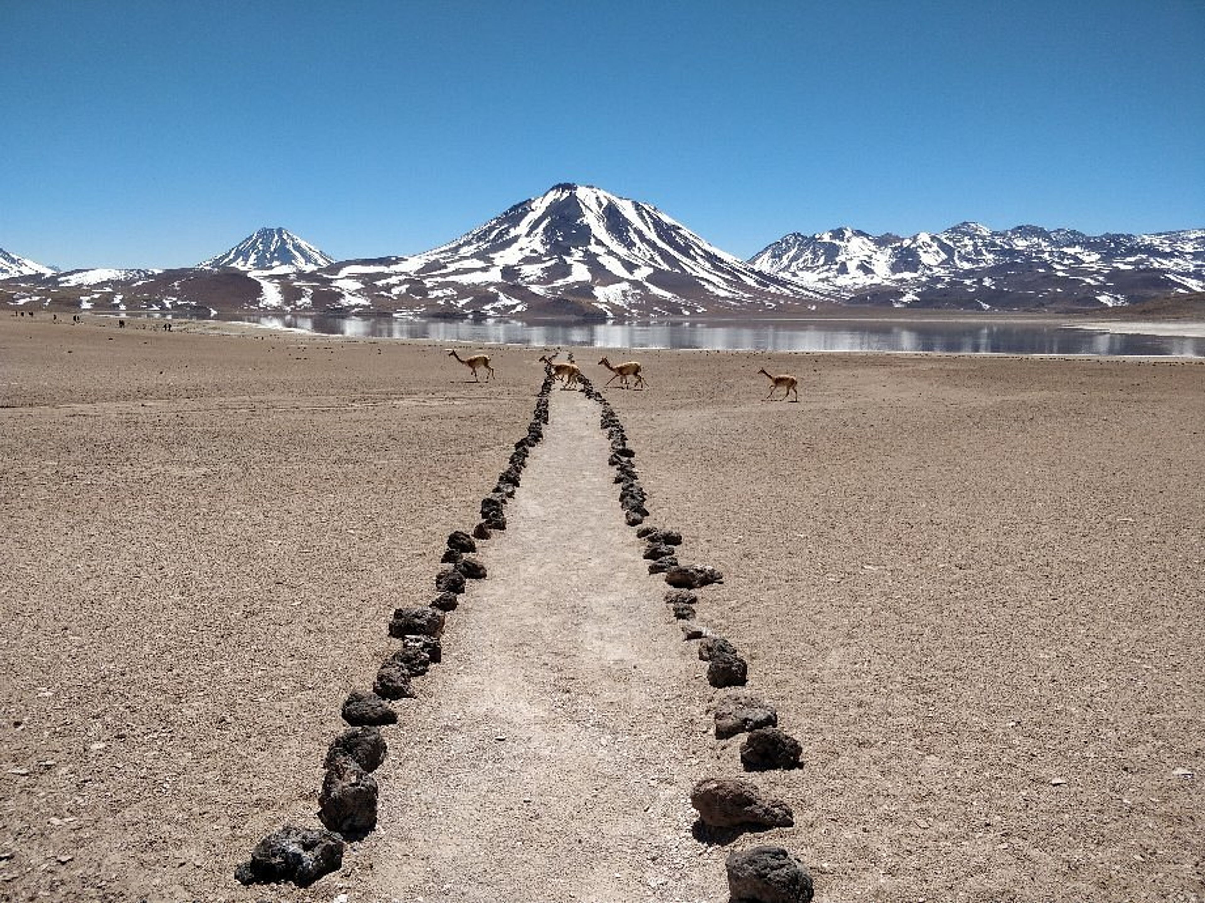 Excursão "LAGOS ALTIPLANÍCIOS E PEDRAS VERMELHAS + ALMOÇO". "ALTIPLANIC LAGOONS AND RED STONES + LUNCH" Tour, San Pedro de Atacama, Chile.