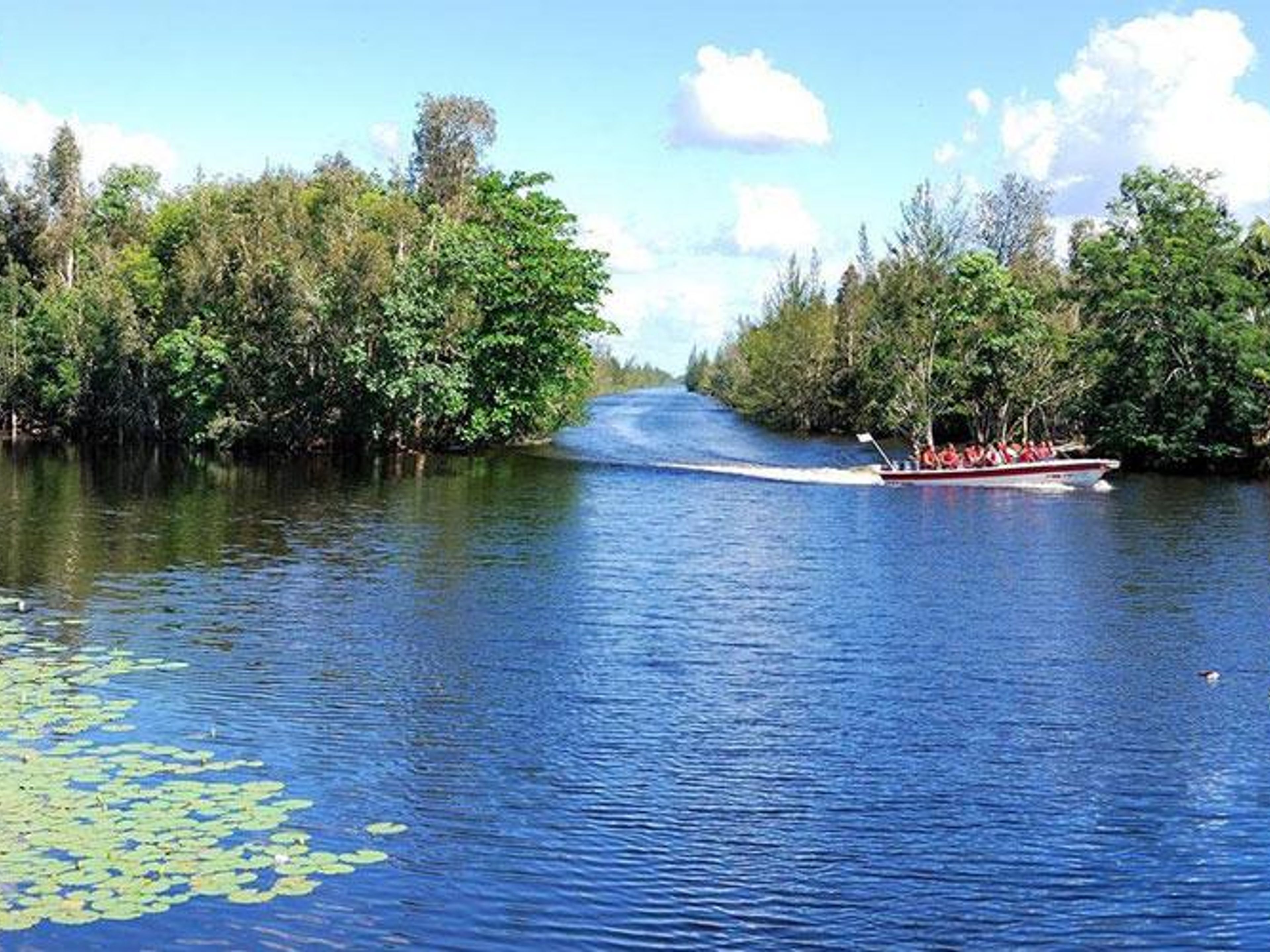 Tour "GUAMA SPECIALE CON IL FIUME HATIGUANICO". Treasure Lagoon, Ciénaga de Zapata, Cuba