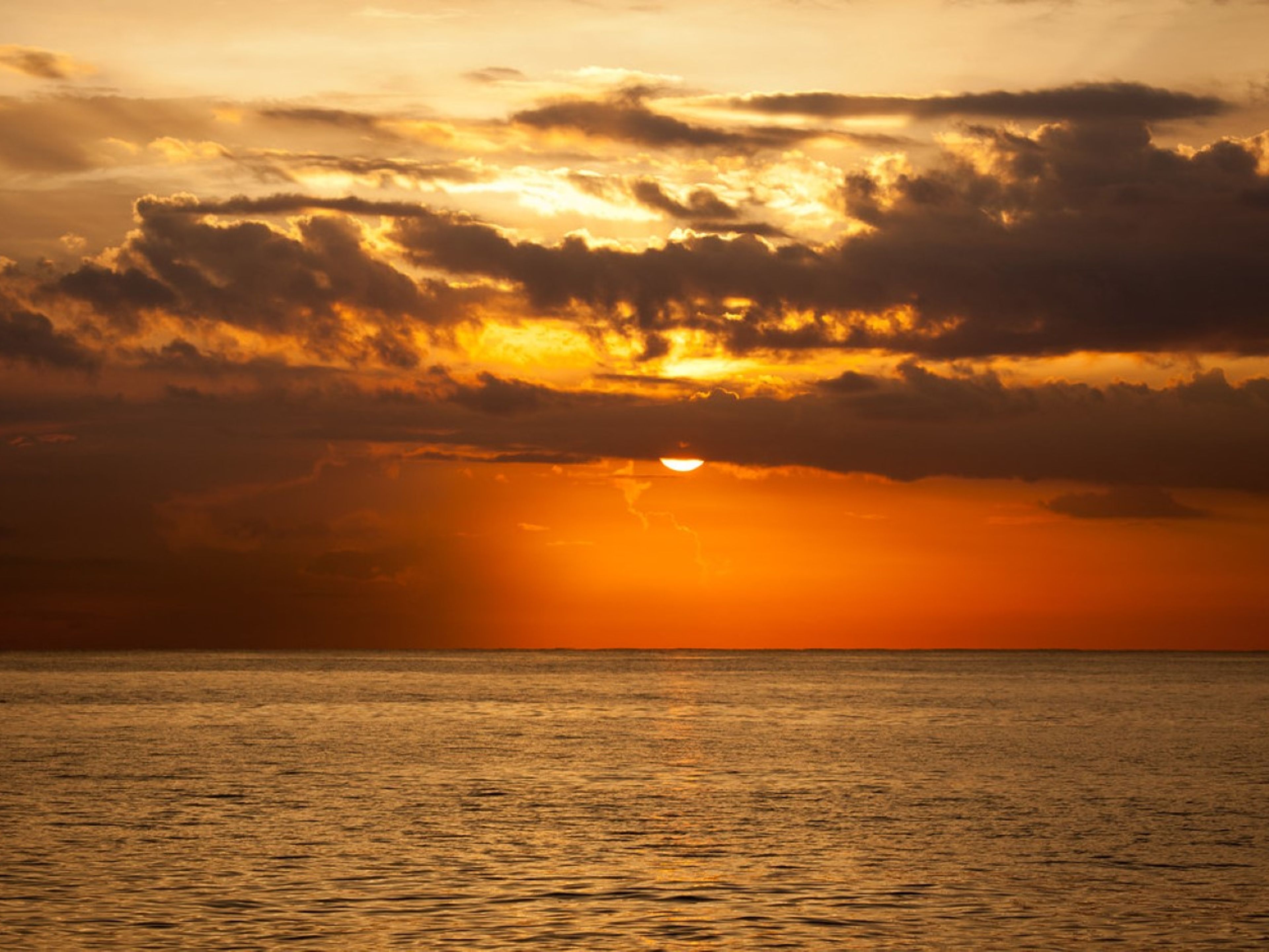 "SEAFARI SONNENUNTERGANG IN HAVANNA" Tour. Seafari "SUNSET IN HAVANA"