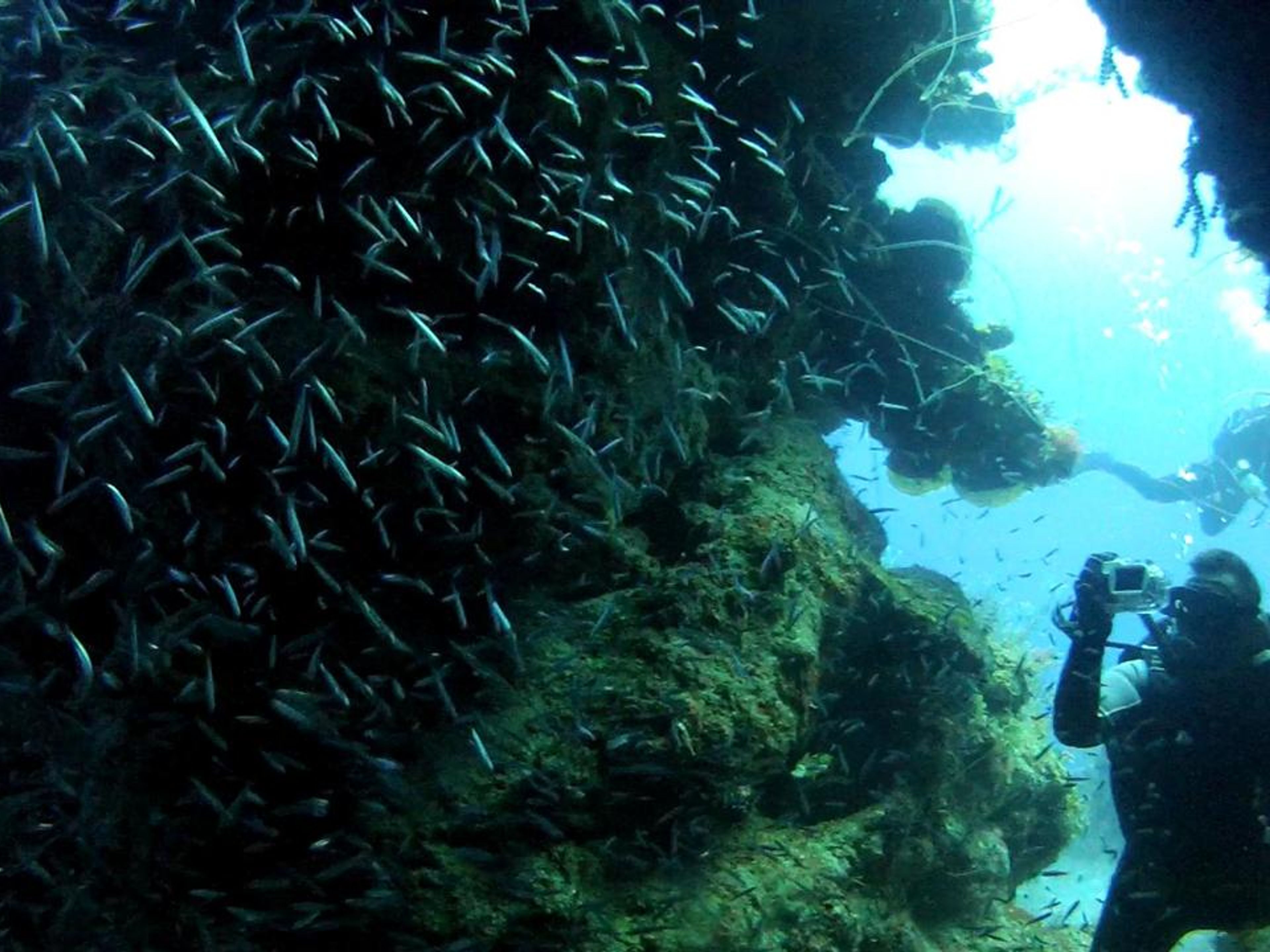 "Passeio de Camagüey, sob as águas". Scuba diving tour in Santa Lucía, Camagüey