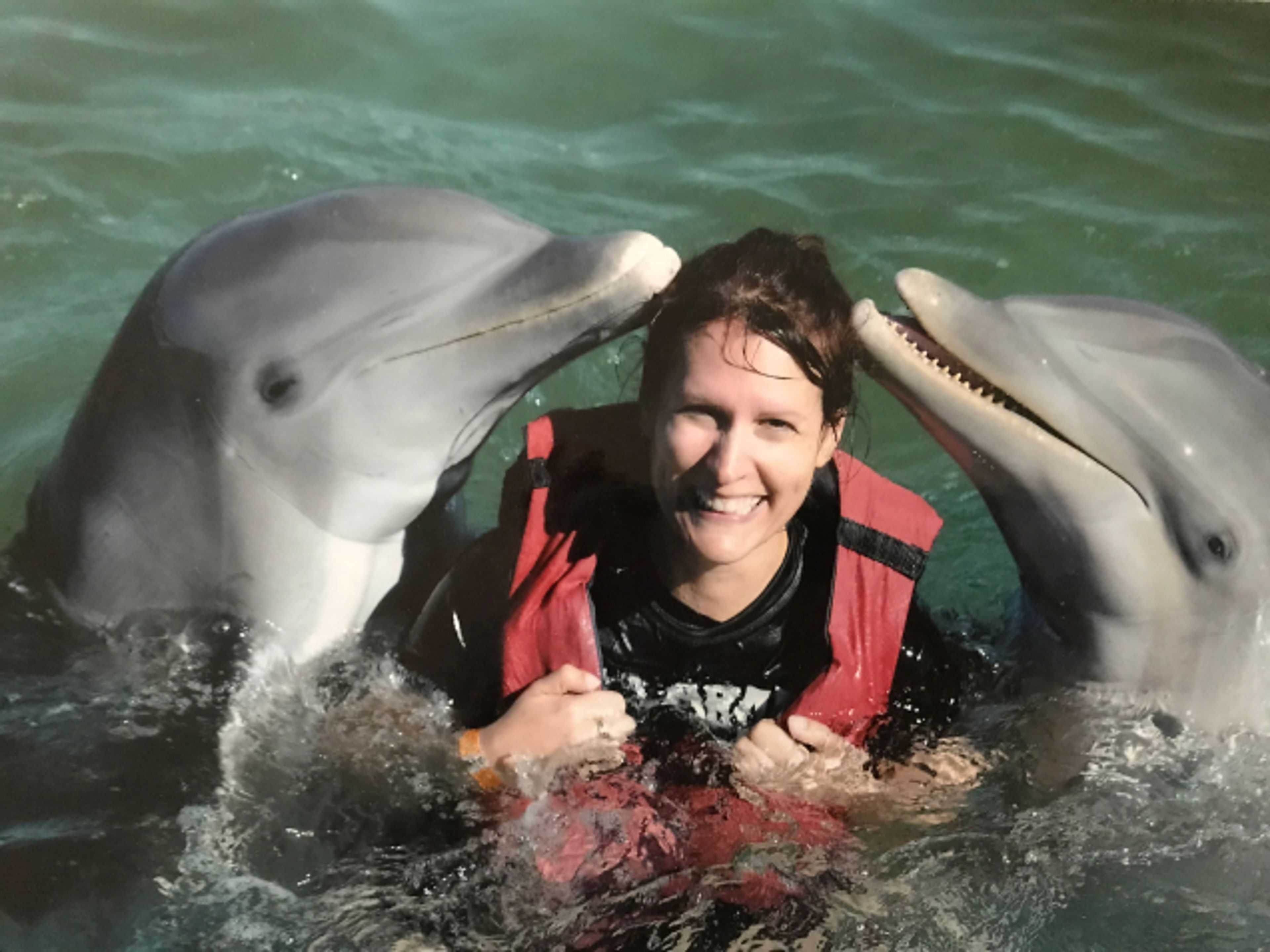 Tour "NAGE SPÉCIALISÉE AVEC LES DAUPHINS À DELPHINARIUM CAYO SAETÍA". "SPECIALIZED SWIM WITH DOLPHINS IN CAYO SAETÍA DOLPHINARIUM" Tour