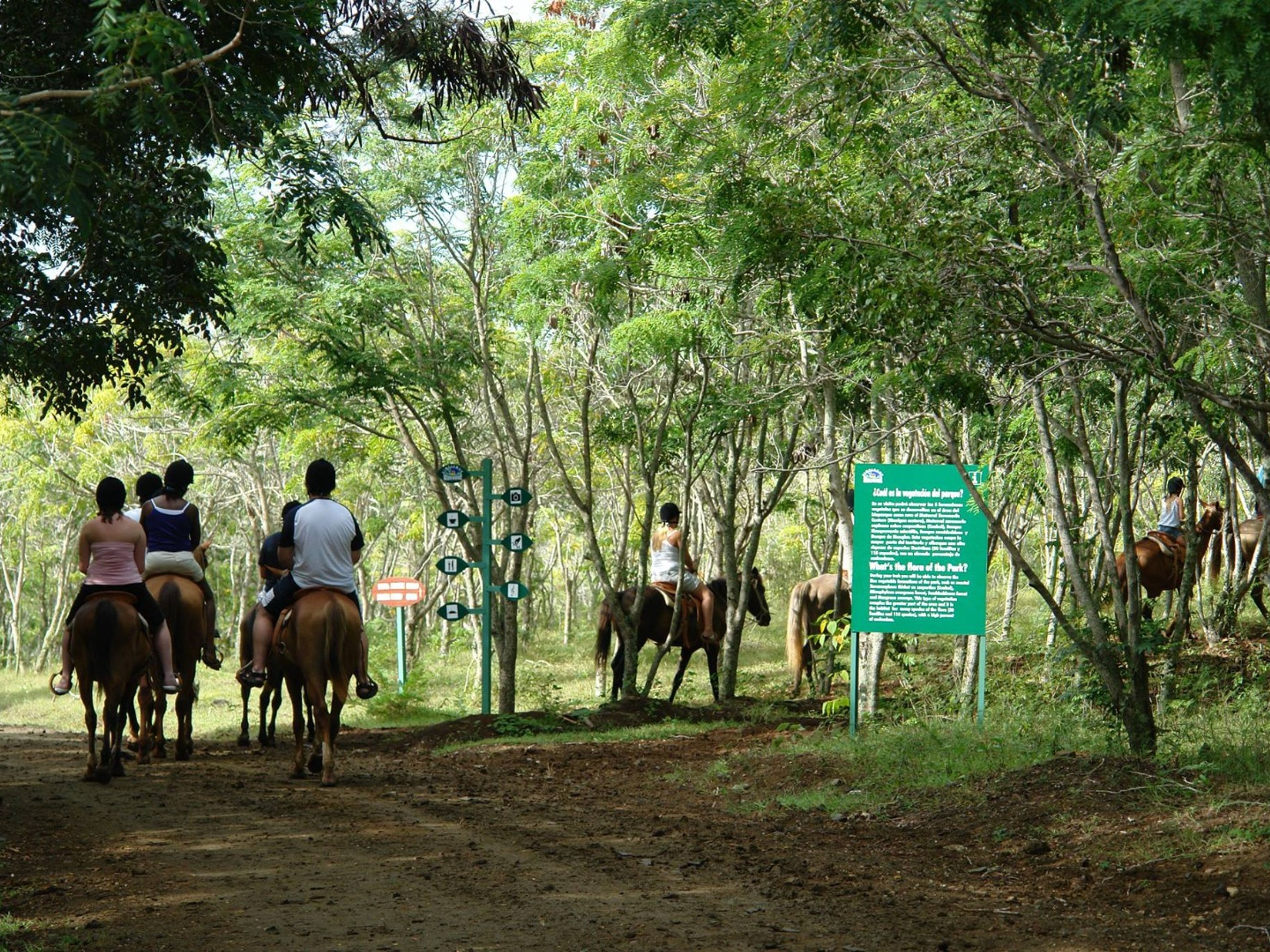 Excursión “CABALGATA EN EL BIOPARQUE ROCA AZUL”. “HORSEBACK RIDING IN ROCA AZUL BIOPARK” Tour, Playa Guardalavaca, Holguín, Cuba.