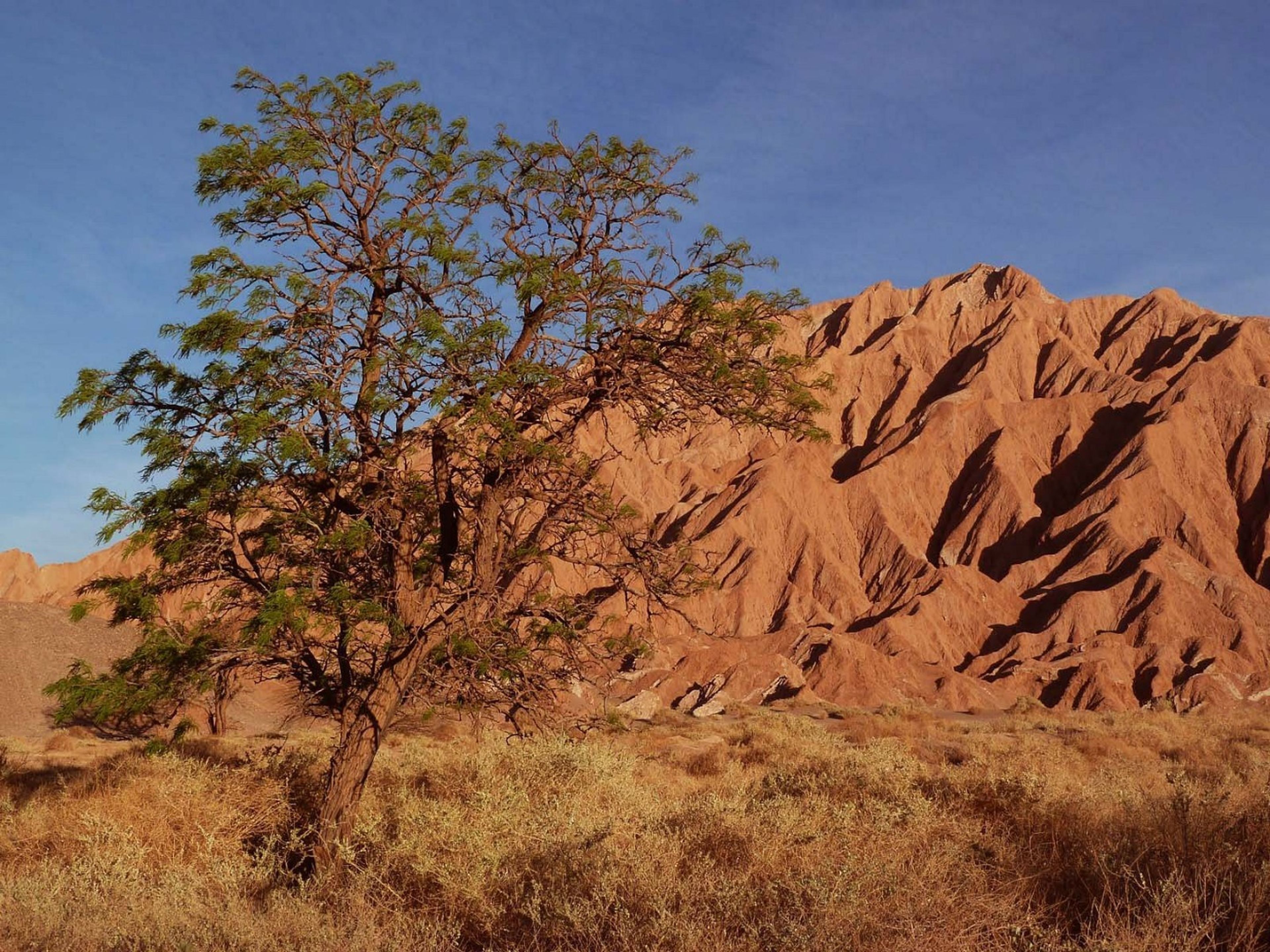 Tур "КОРДИЛЬЕРА ДЕ ЛА САЛ И ВАЛЛЕЦИТОС С ЗАКУСКОЙ". "CORDILLERA DE LA SAL AND VALLECITOS WITH APPETIZER" Tour, San Pedro de Atacama, Chile.