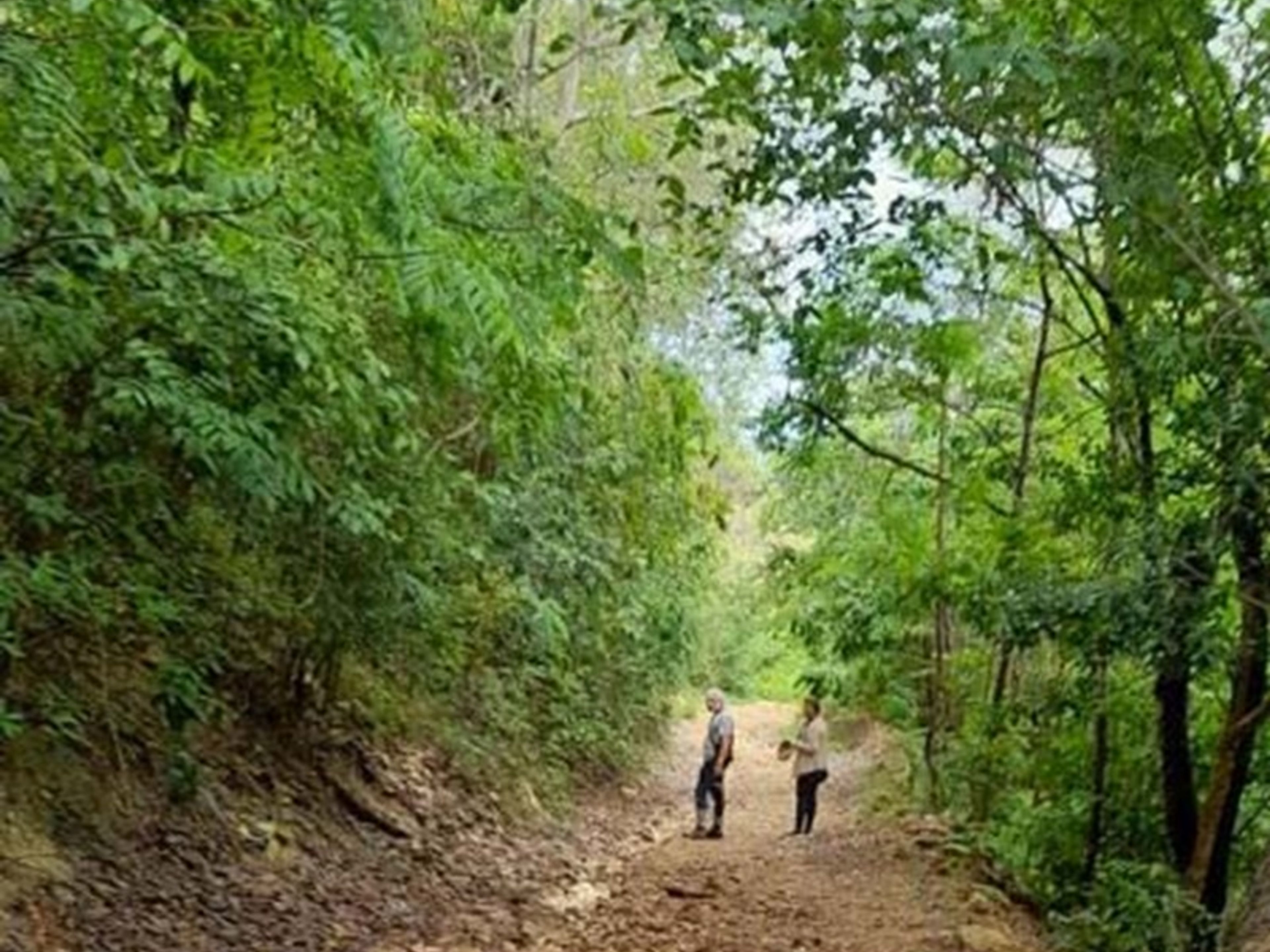 Excursión “SENDERO LA GRIETA”. “LA GRIETA TRAIL” Tour, Guardalava, Holguín, Cuba.