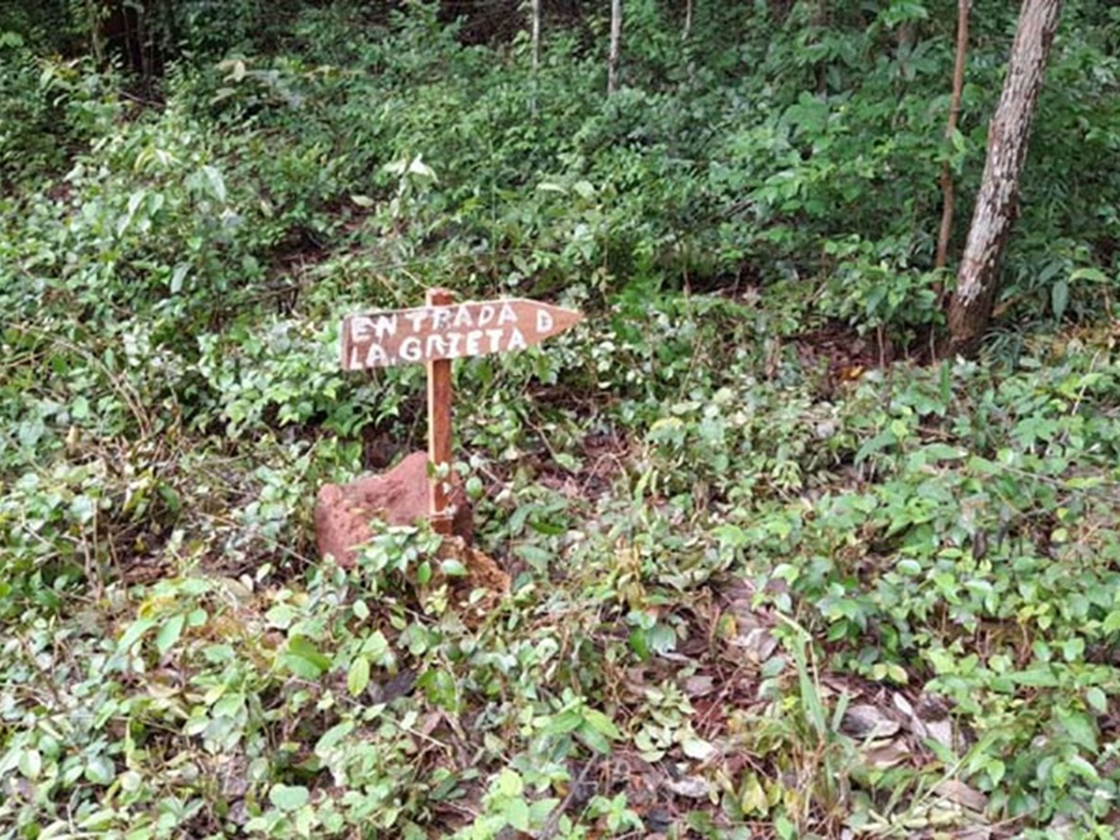 Excursión “SENDERO LA GRIETA”. “LA GRIETA TRAIL” Tour, Guardalava, Holguín, Cuba.