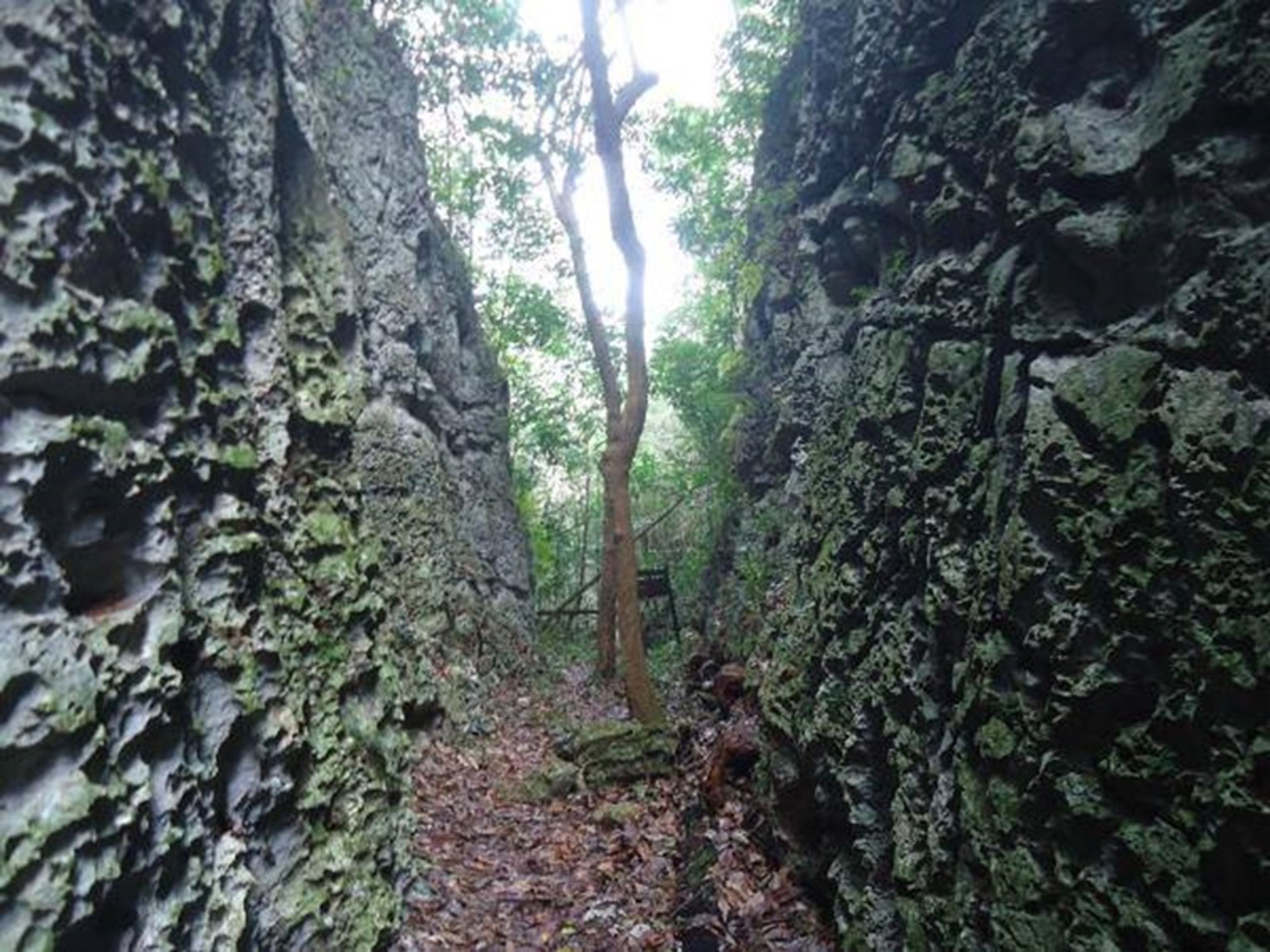 Excursión “SENDERO LA GRIETA”. “LA GRIETA TRAIL” Tour, Guardalava, Holguín, Cuba.